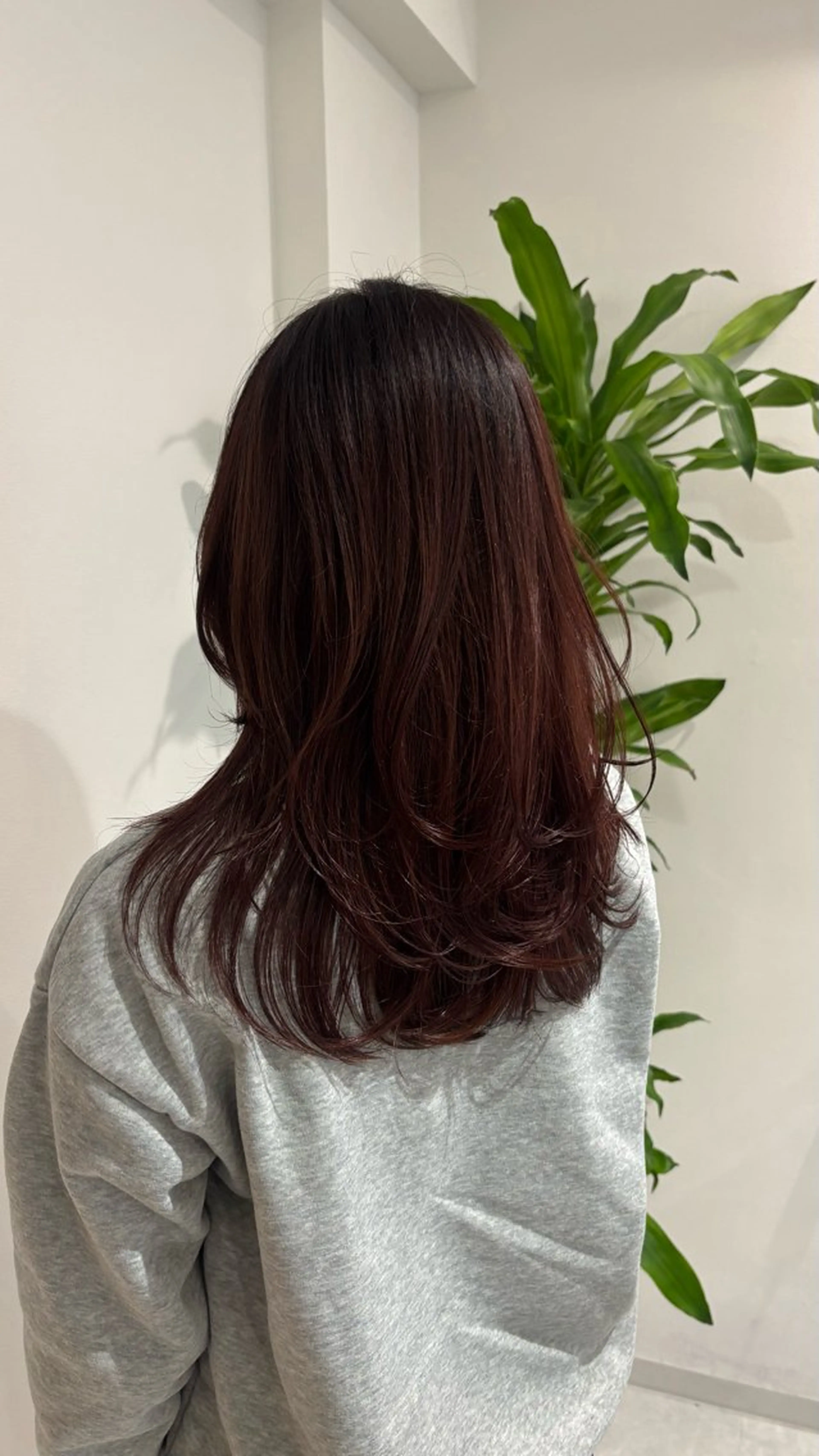 セミロング カラー ベージュカラー ブリーチ ブラウンカラー カシス グレージュ ヘアカラー トリートメント レイヤー/ボブモデル 募集中🕊️正源のヘアスタイル