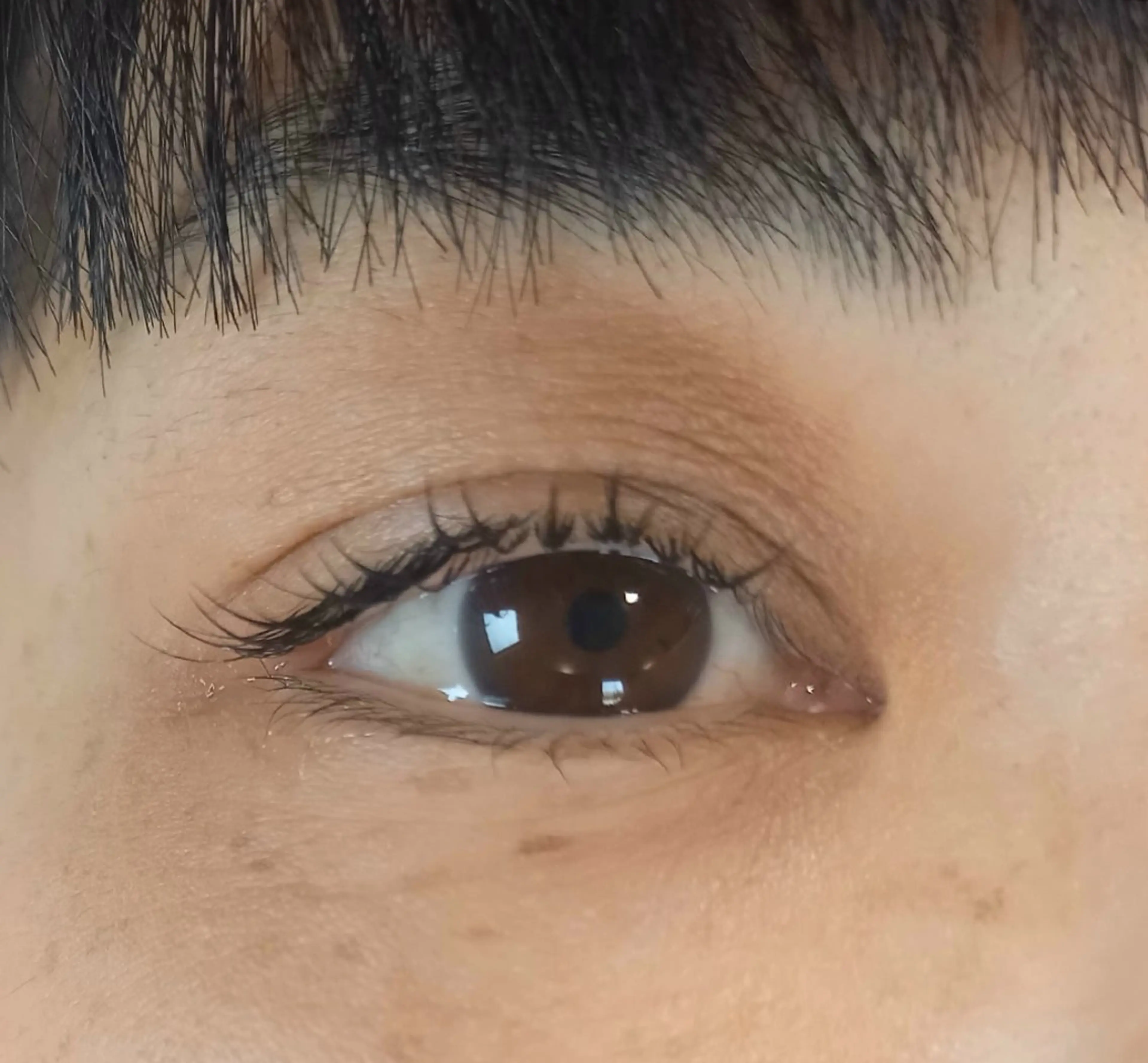 マツエク・マツパ beaute.celine所属・&healthy💜 ﾎﾞｰﾃCelineのマツエク・マツパデザイン