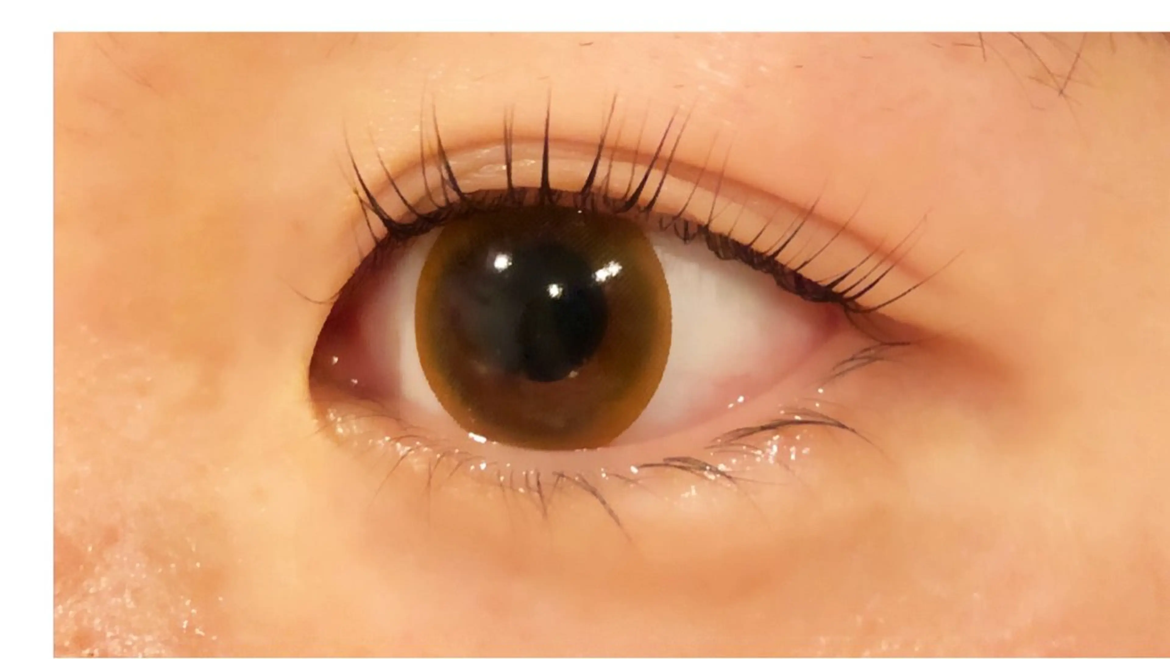 マツエク・マツパ 一重×まつ毛パーマ マツパ Sss所属・sera ＊のマツエク・マツパデザイン