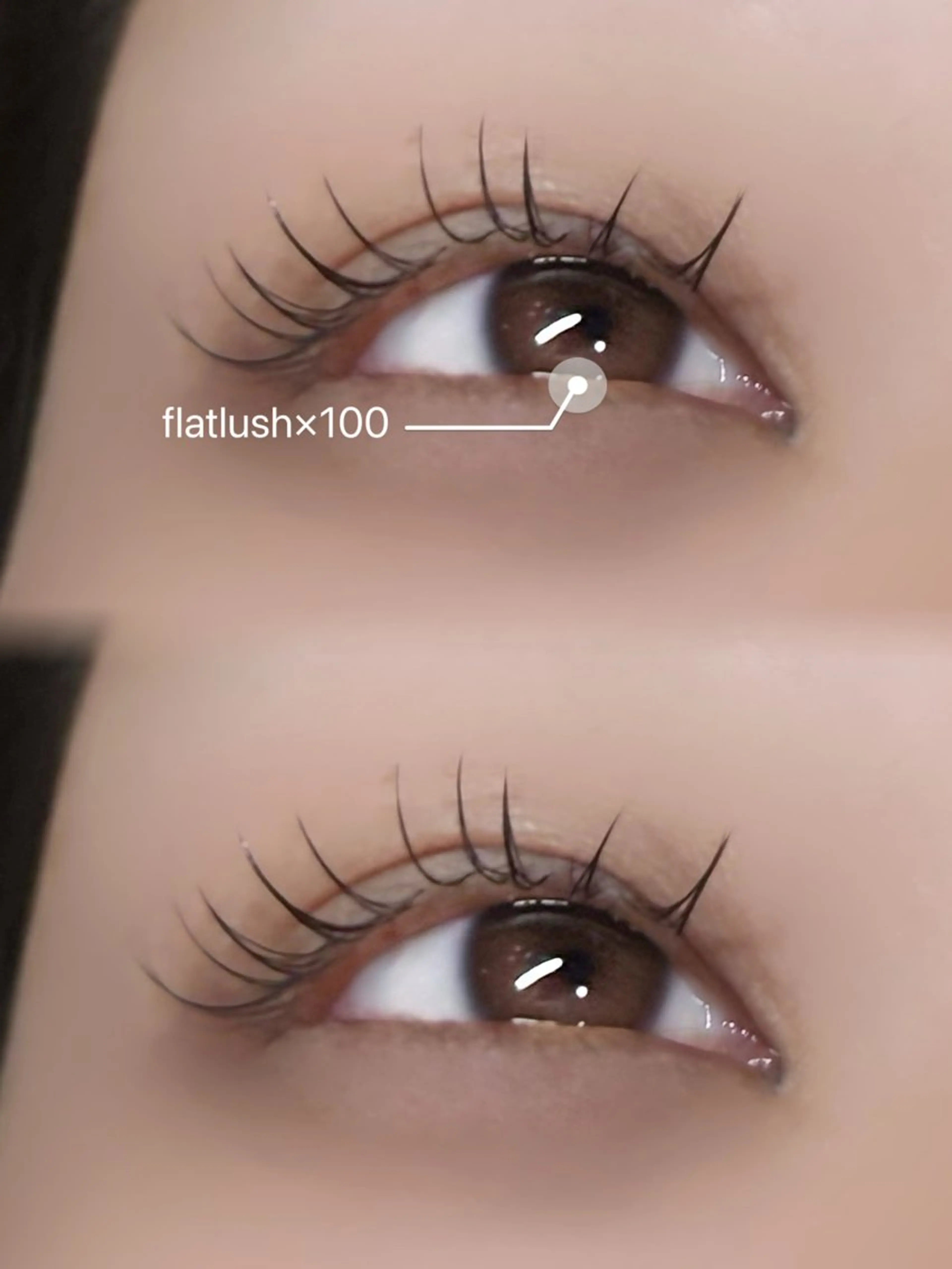 フラットラッシュ100本3850円(オフ込み)🎀✨の写真