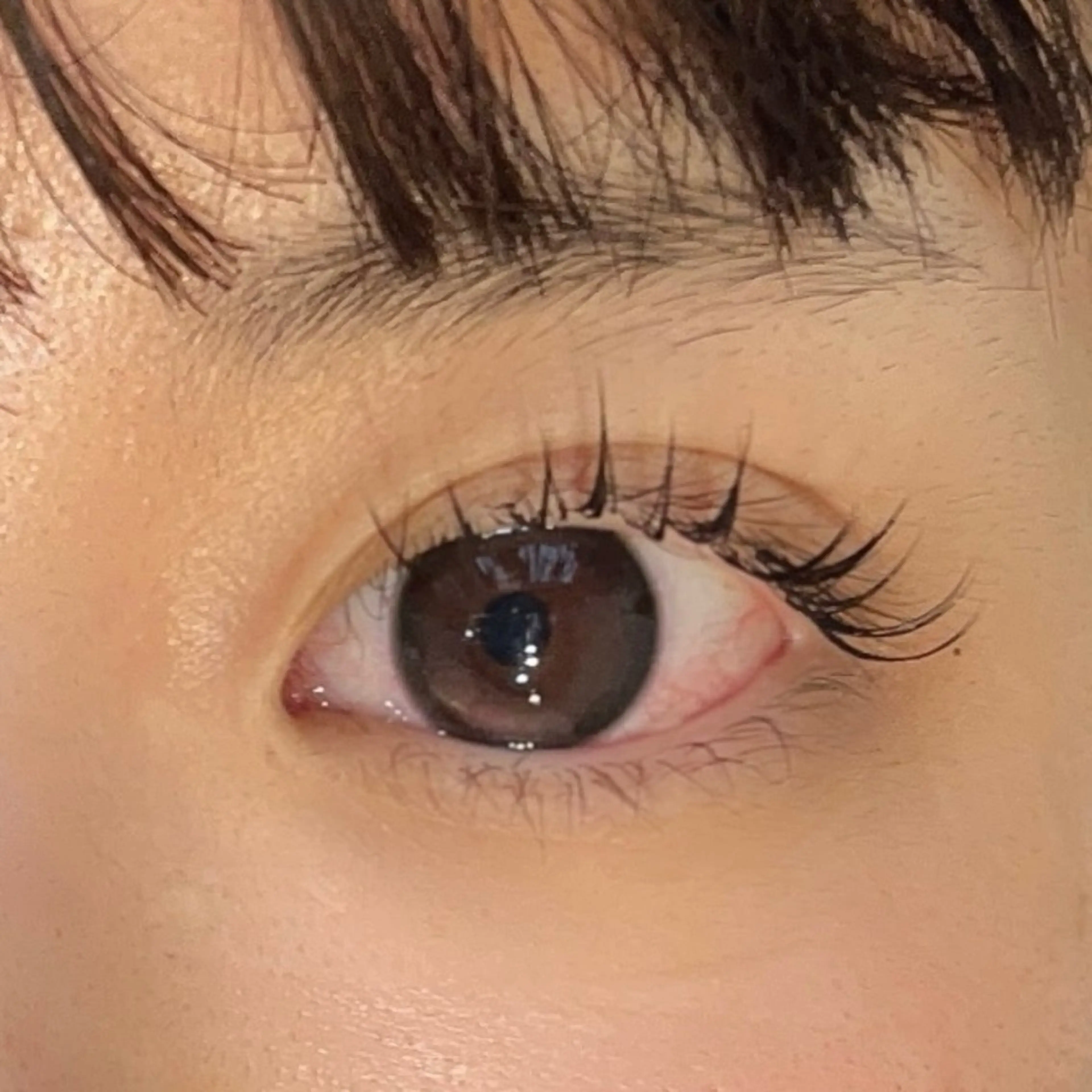 マツエク　シルク80本までの写真