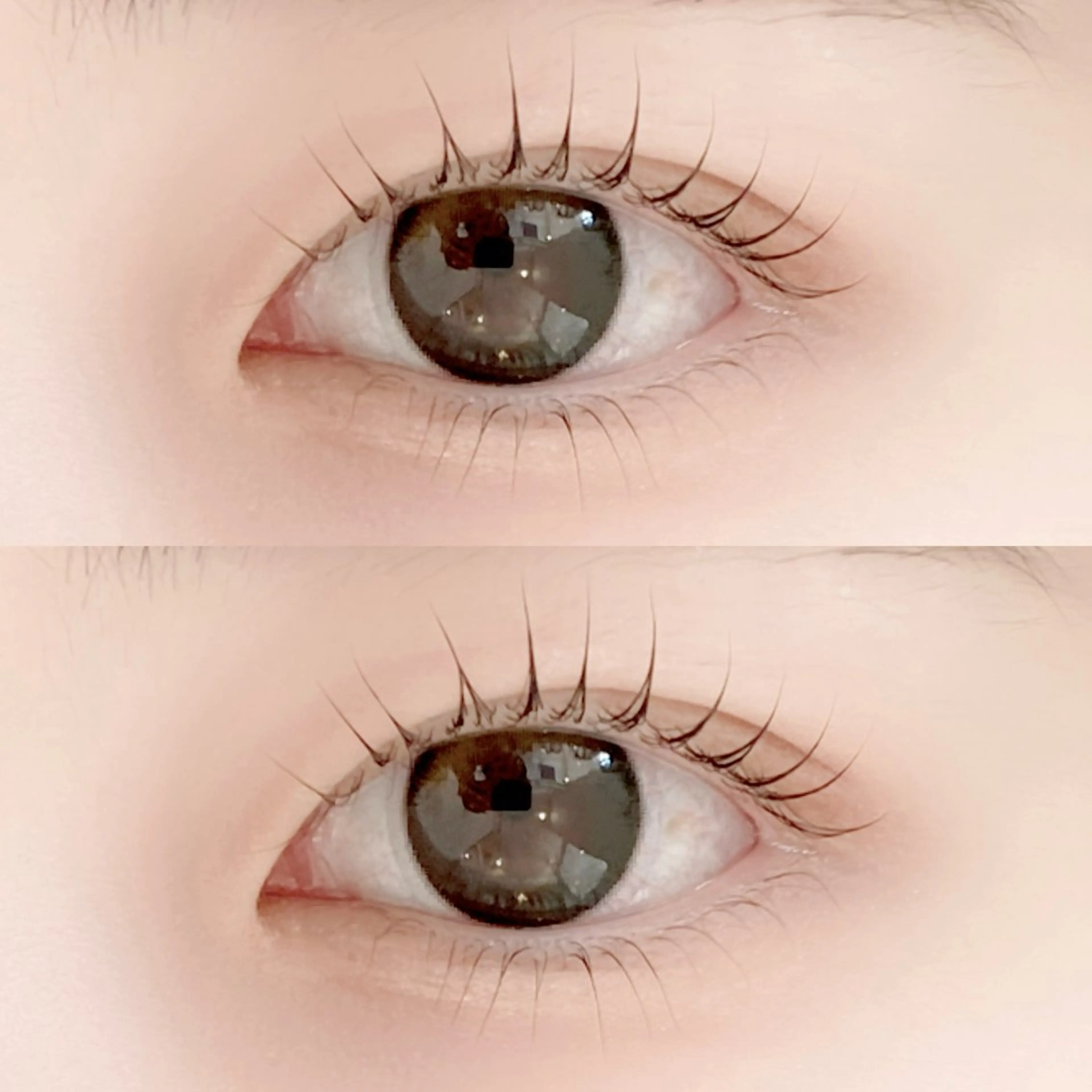 🪄🫧上下パリジェンヌラッシュリフト🫧注意事項ご確認くださいの写真