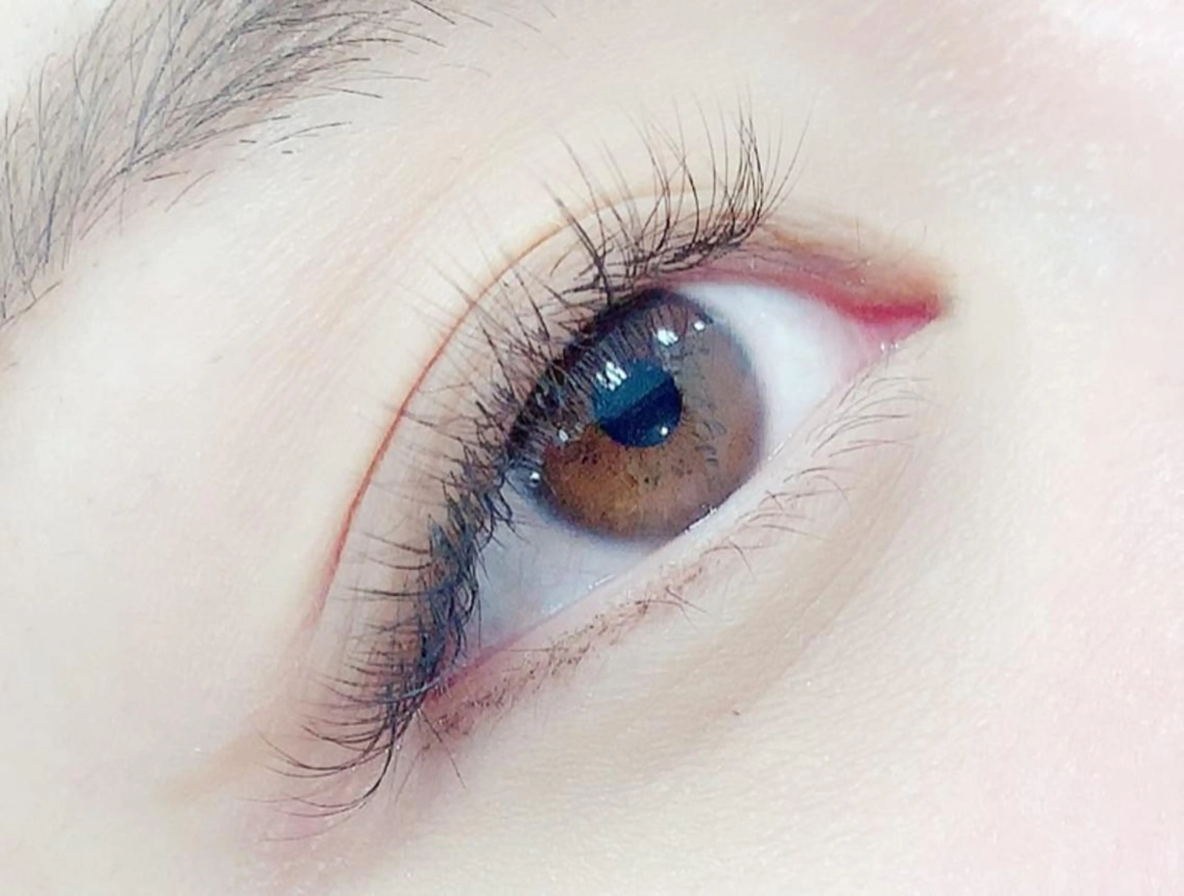 マツエク・マツパ eyebrow 🎀Nanami🎀の眉毛・アイブロウイメージ