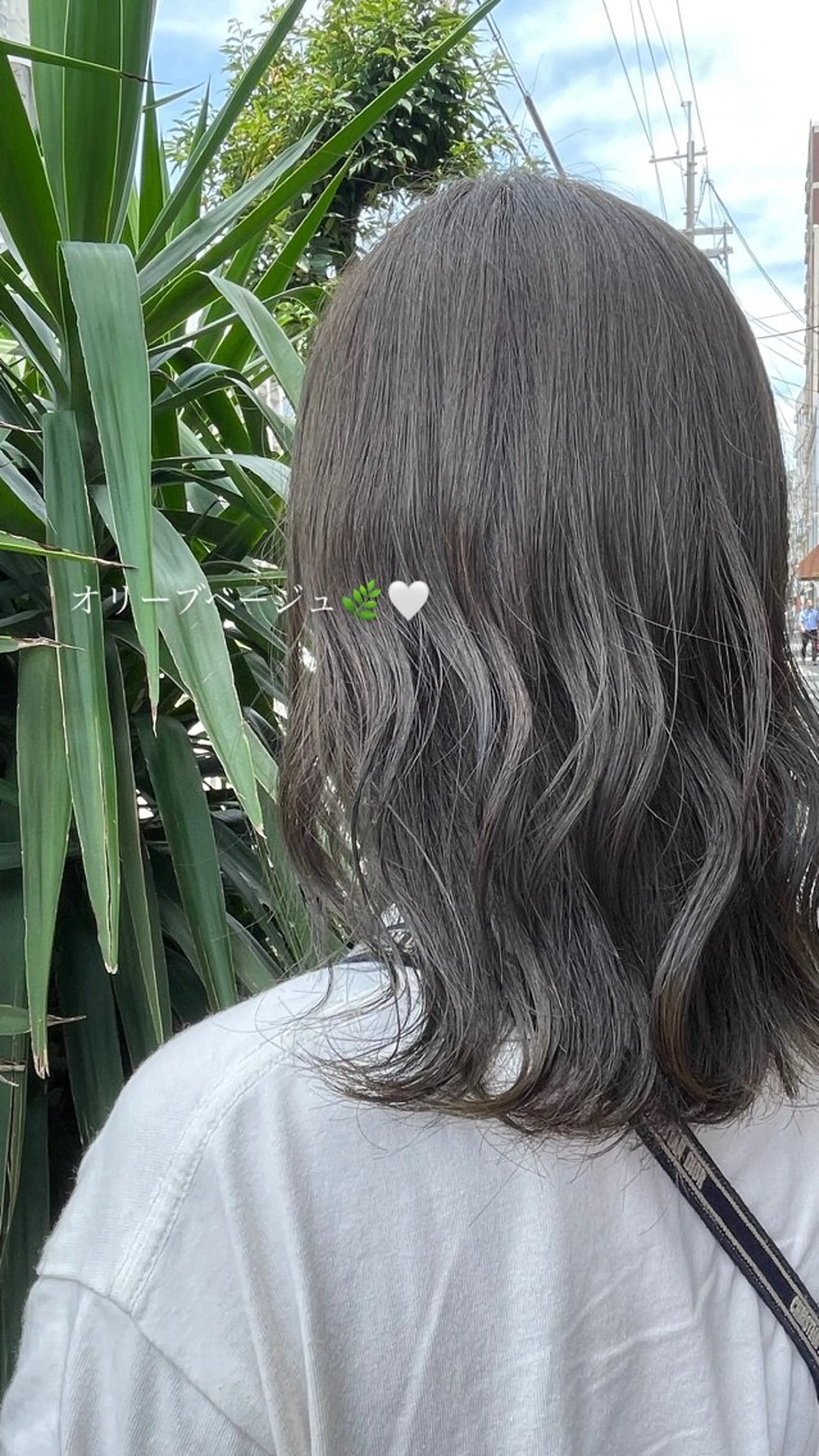 セミロング トリートメント ズシ ヒカルのヘアスタイル