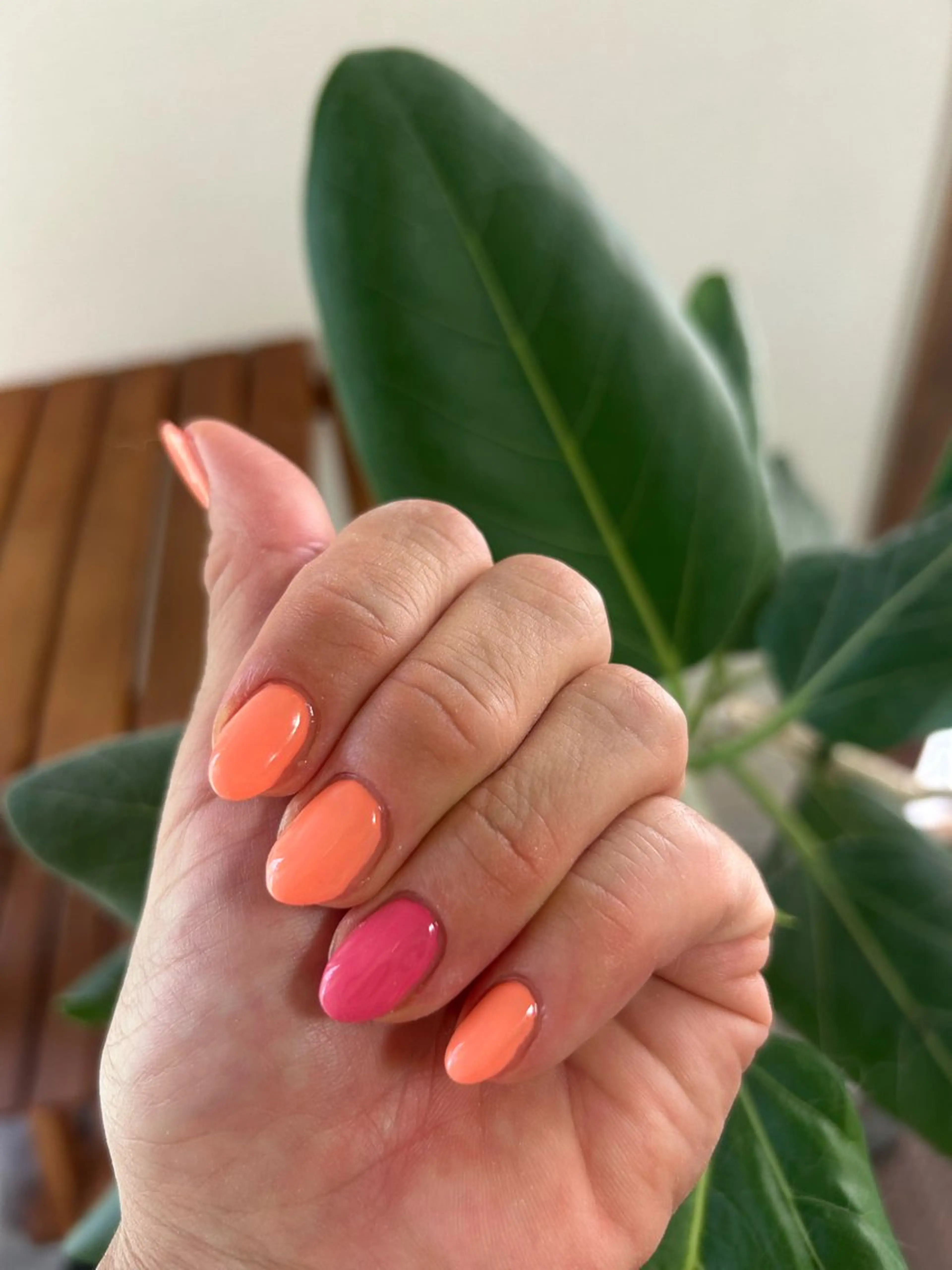 7月キャンペーン🧡の写真