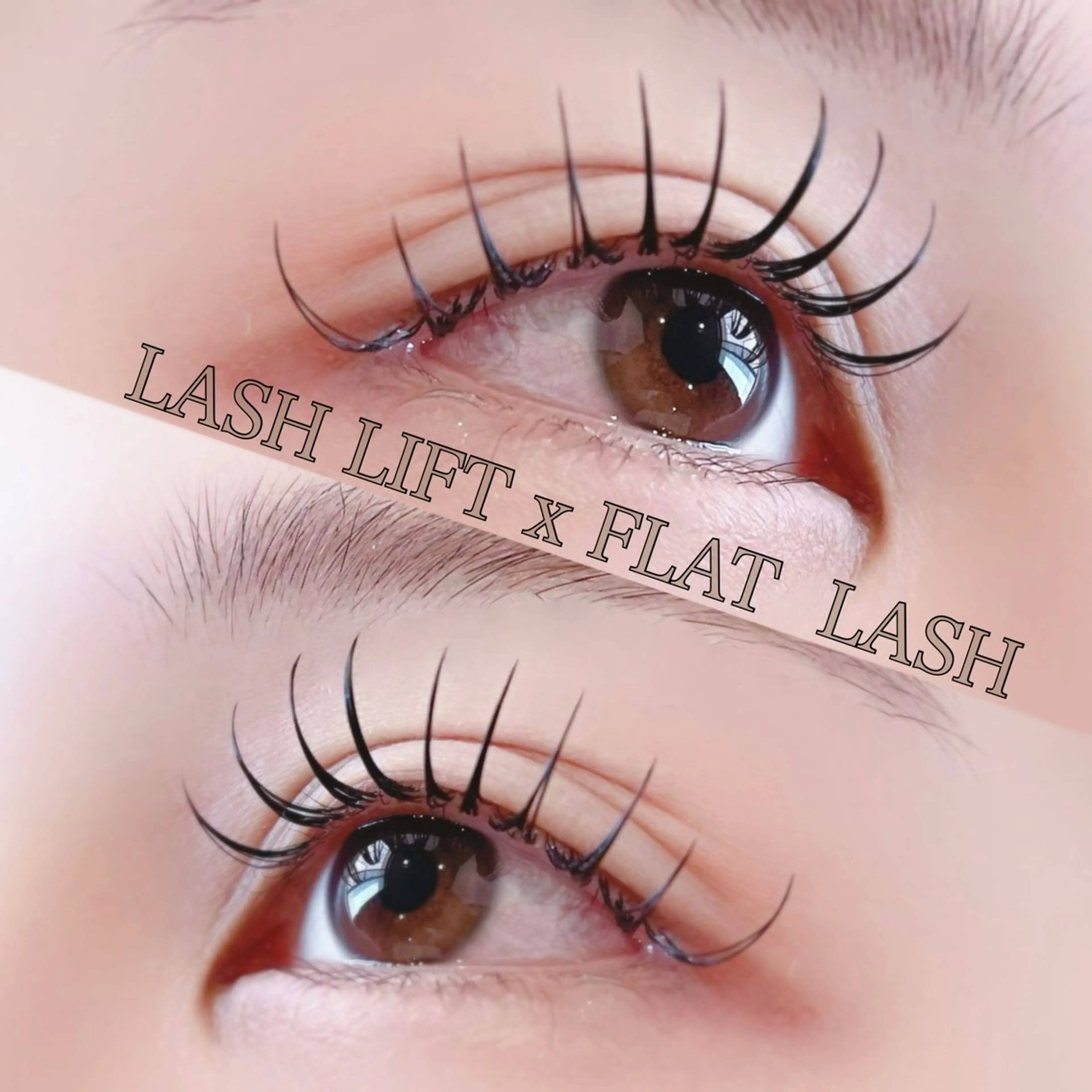 フラットラッシュ120本の写真