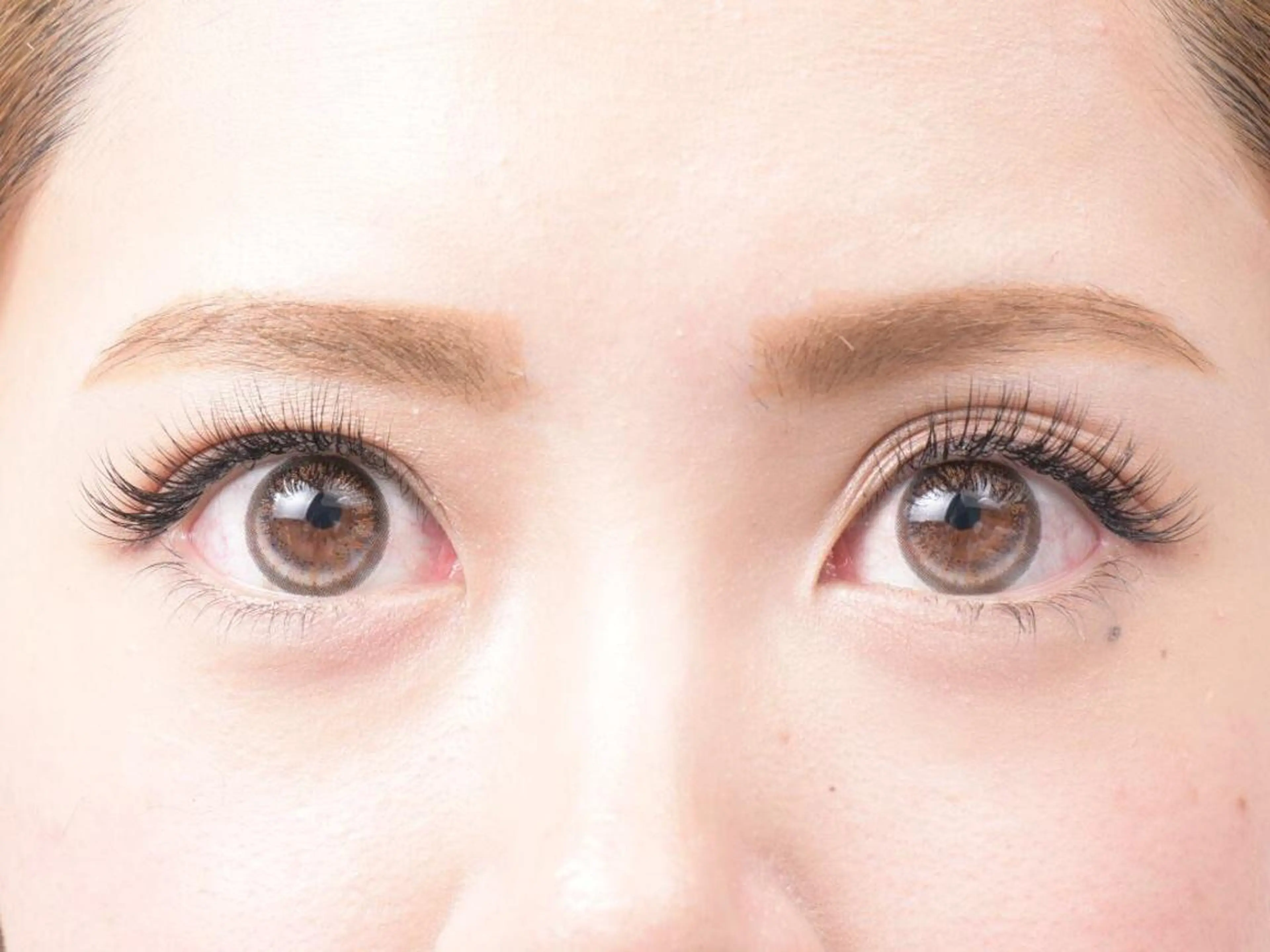 マツエク・マツパ Lovit ラビットのマツエク・マツパデザイン