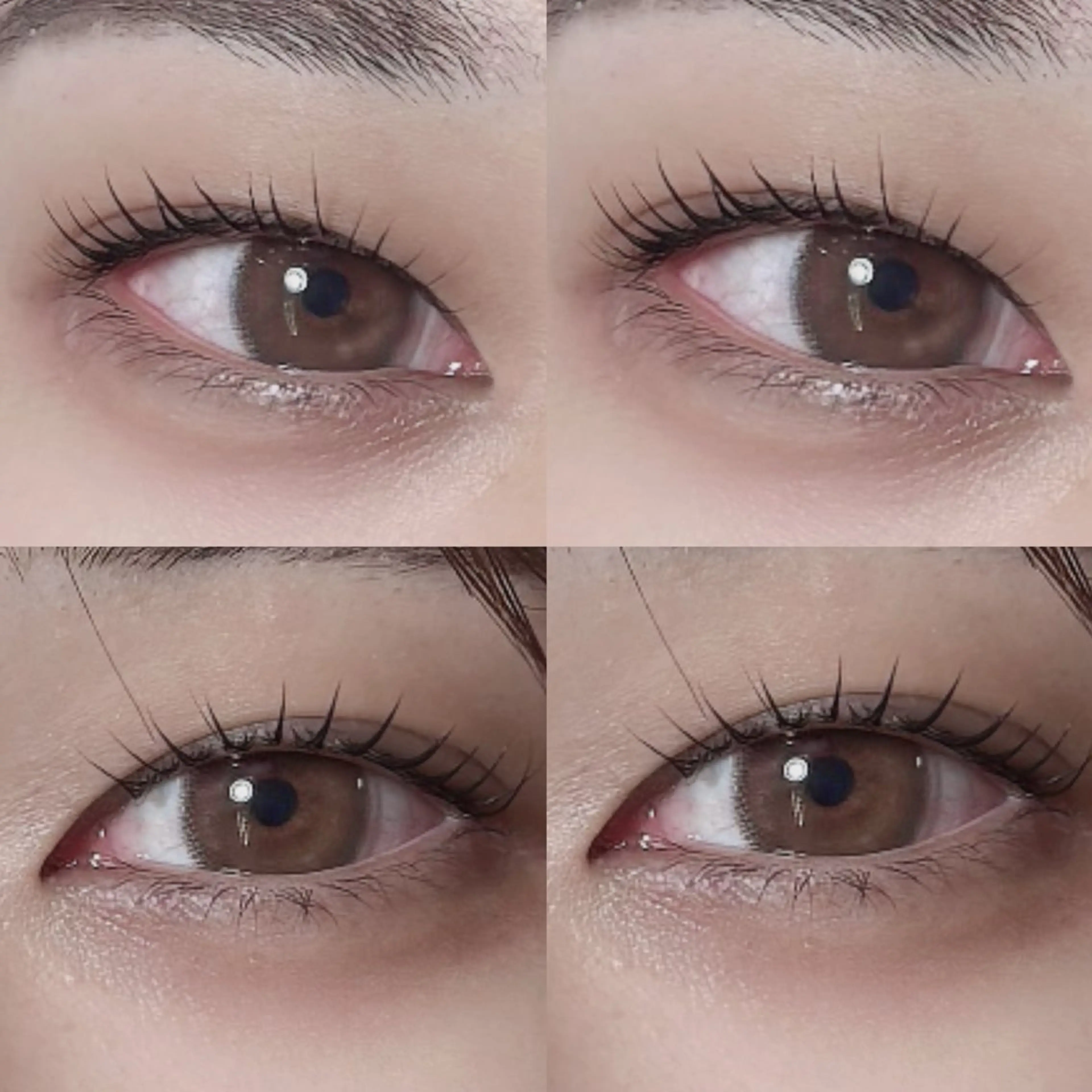 マツエク・マツパ マツパ Twinkle千歳店 🧡ニシムラミユのマツエク・マツパデザイン