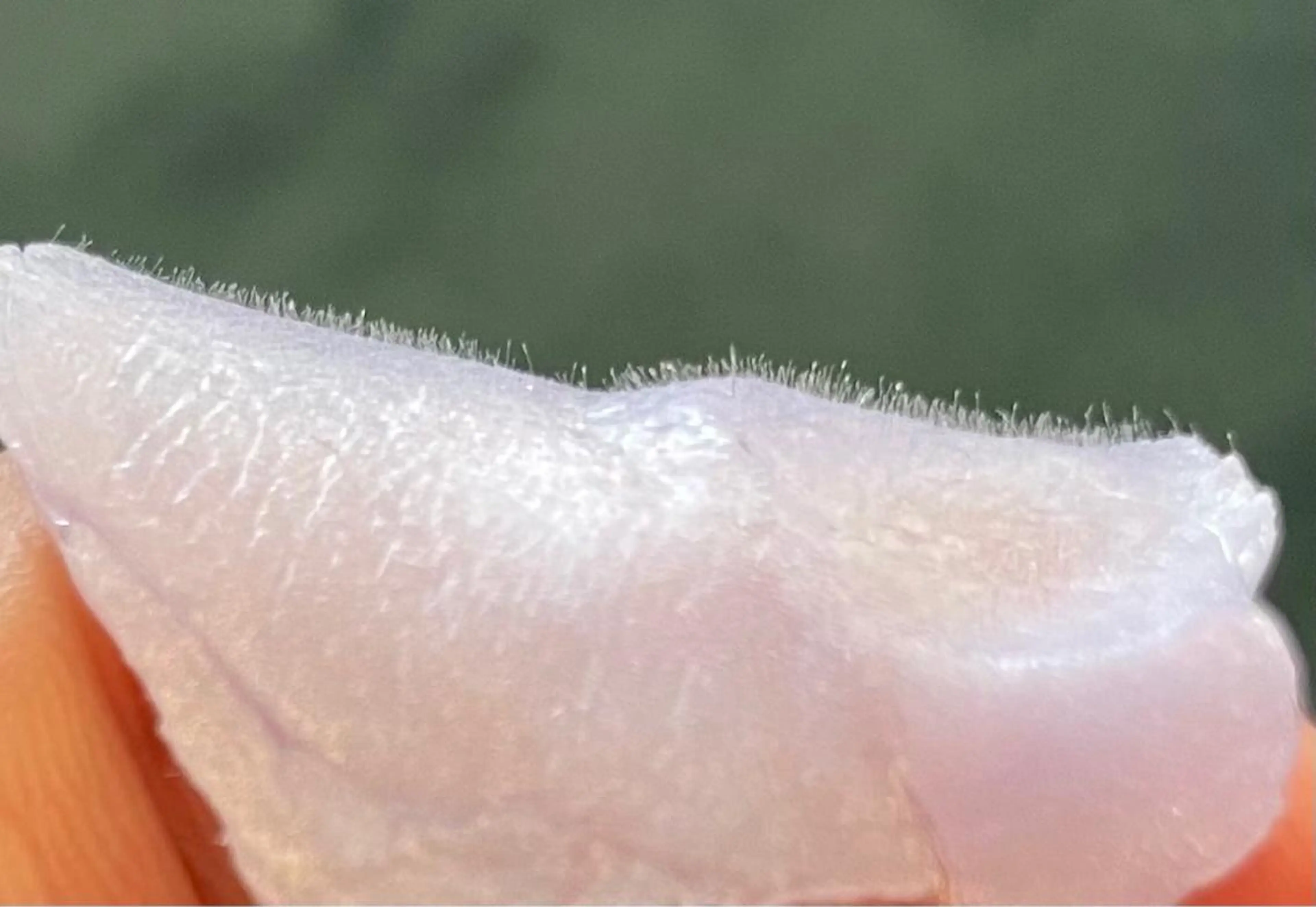 エステサロン Mi-mi.iのエステ・リラクイメージ