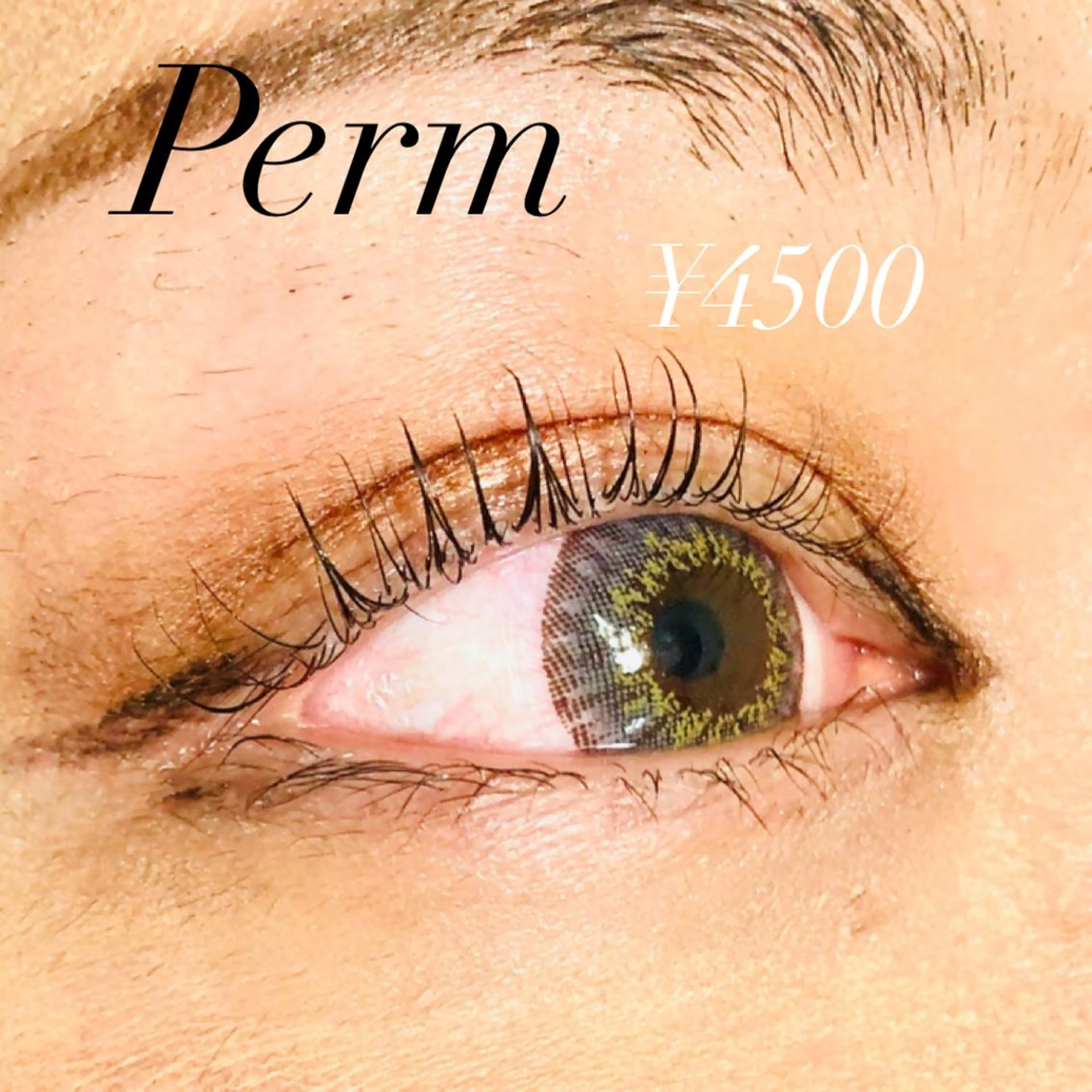 マツエク・マツパ まつげパーマ eyelash salon catorce所属・マツエク Catorceのマツエク・マツパデザイン