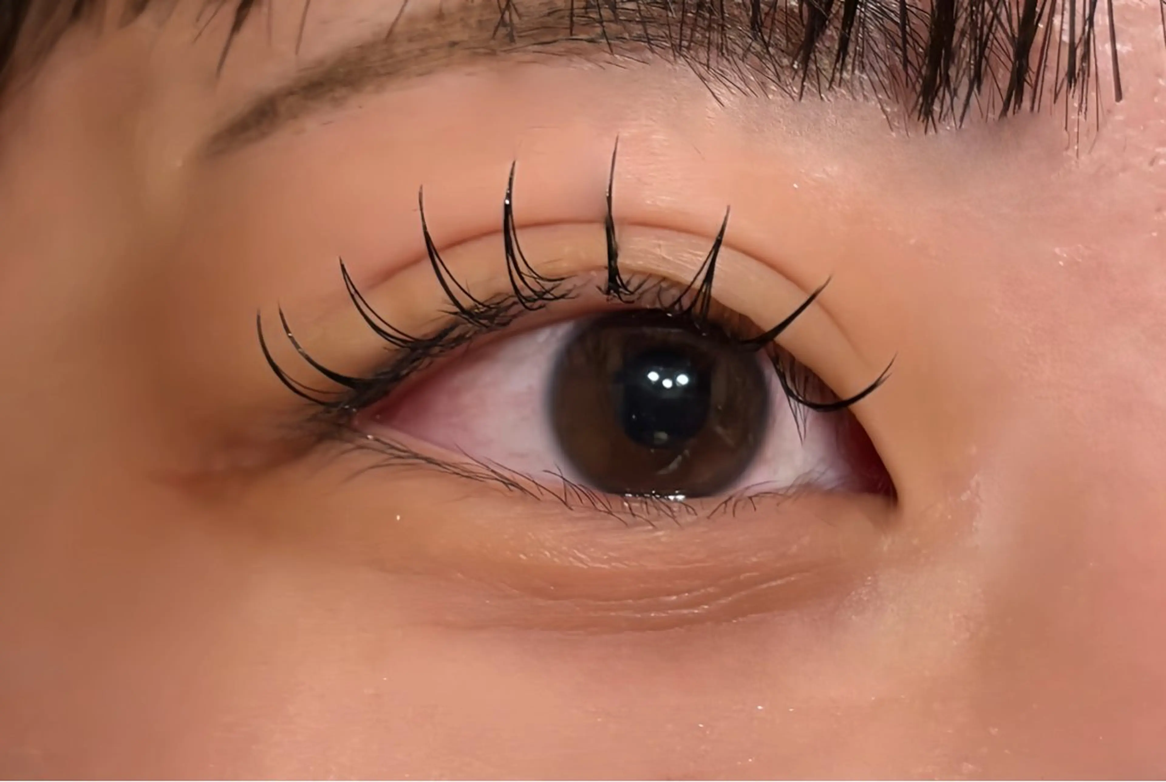 フラット100本オフ込み  お直し不可の写真