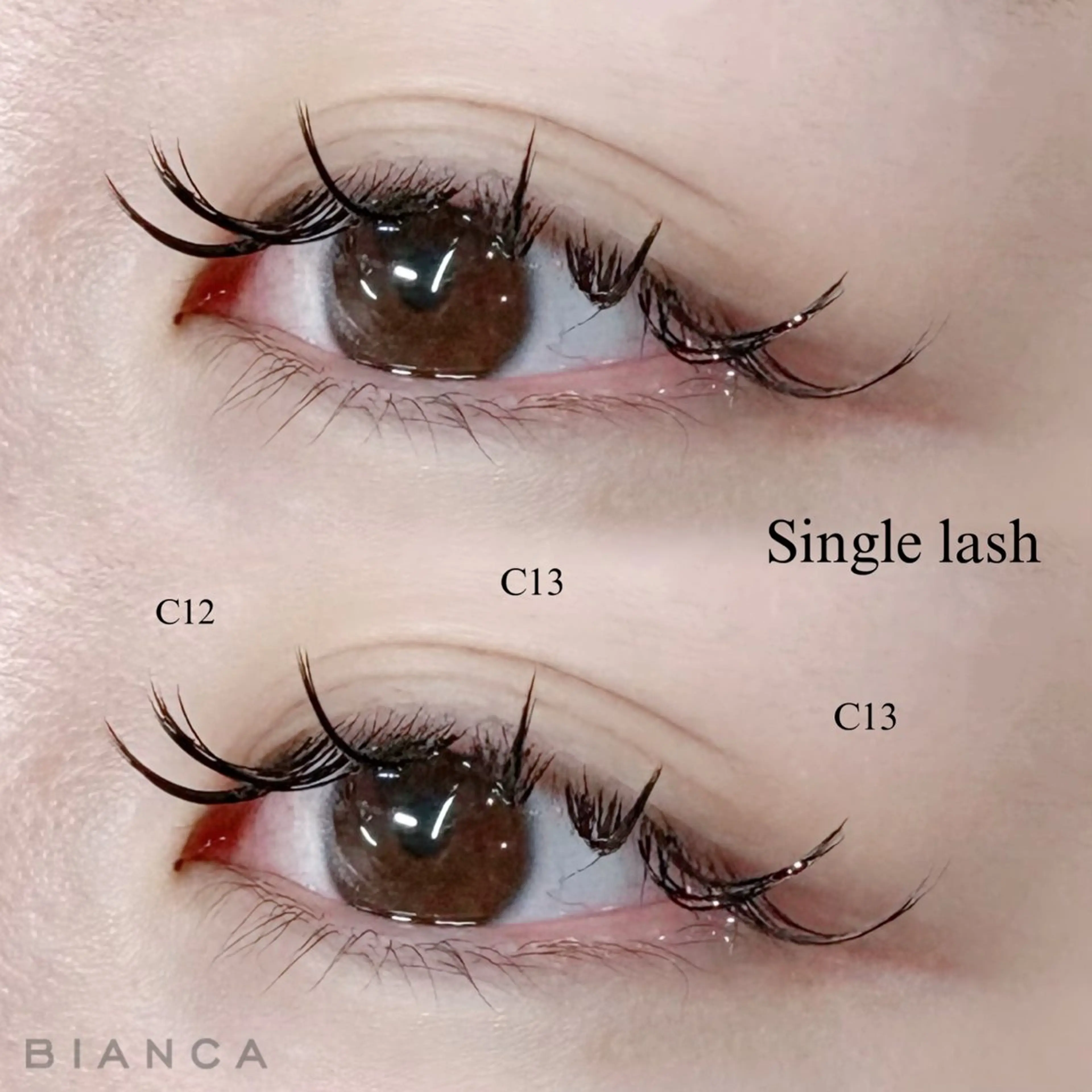 【12月限定】🌻シングルラッシュ 120本🌻 ※オフ無の写真