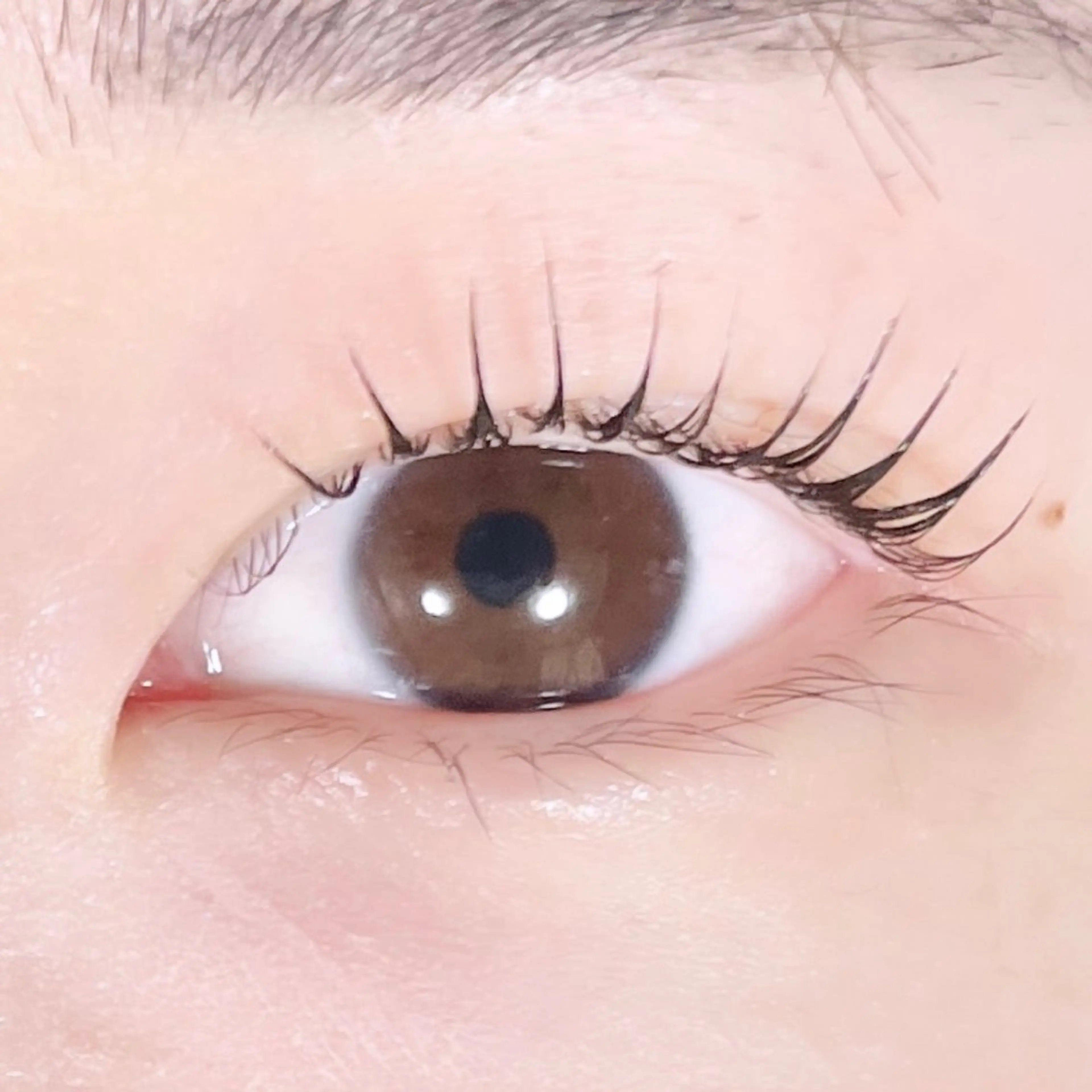 マツエク・マツパ TAKEO🖤 マリーテレジア藤が丘のマツエク・マツパデザイン