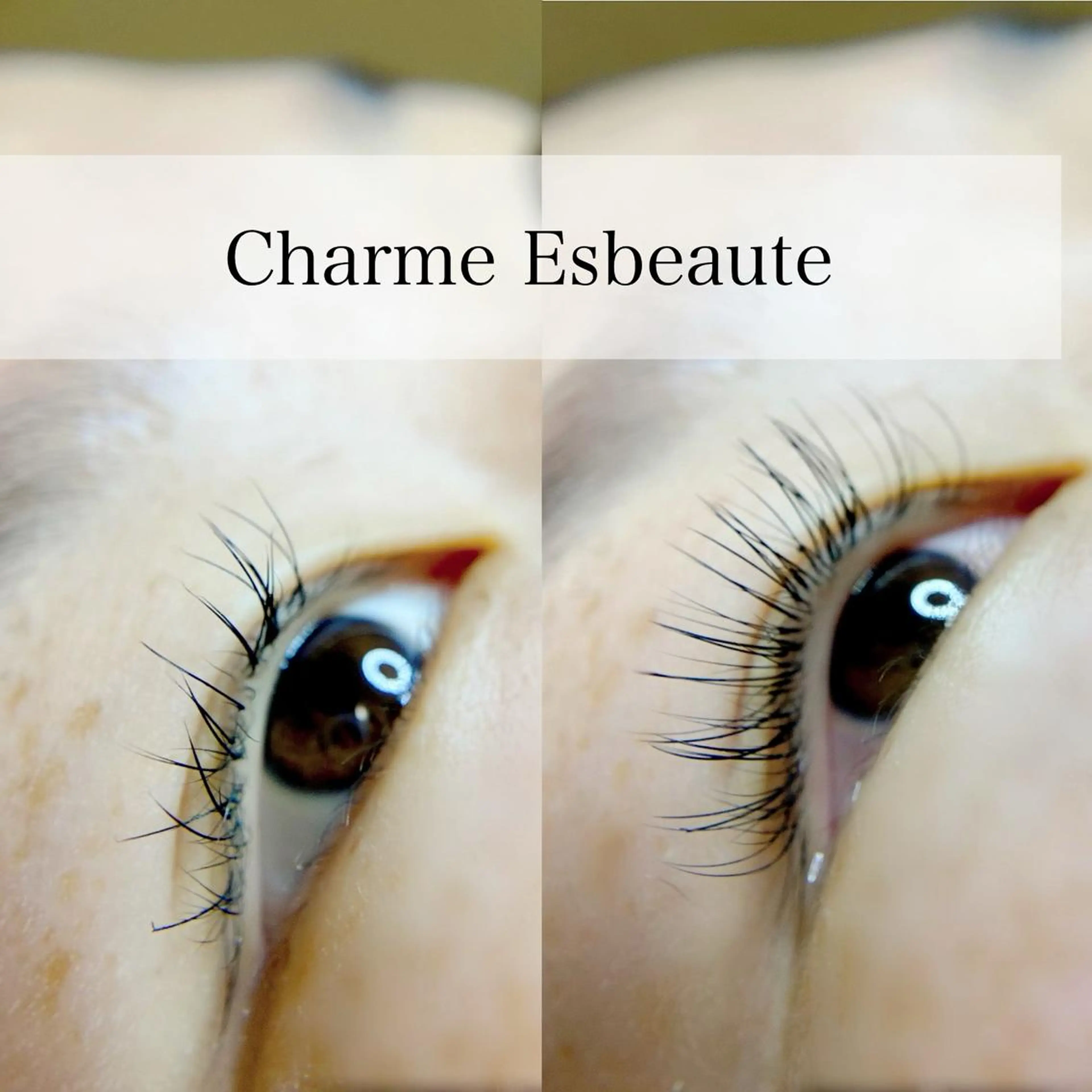 マツエク・マツパ Charme Esbeaute所属・南森町LED エクパーマのマツエク・マツパデザイン