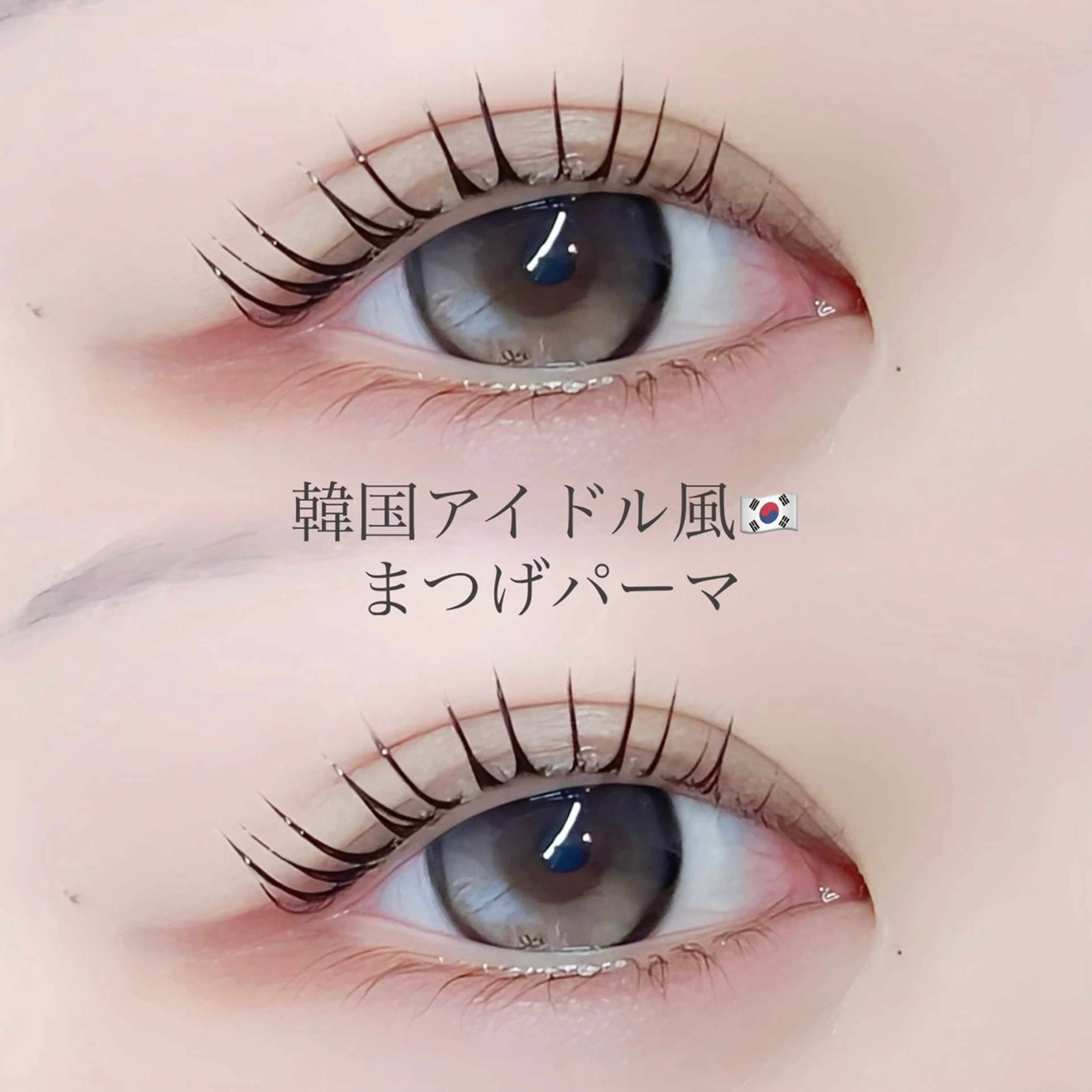 【♥️12月限定🎄.*】束感ぱっちり🇰🇷韓ドル風まつげパーマ🖤  アフターケア付き🎀rei指名限定🫧の写真