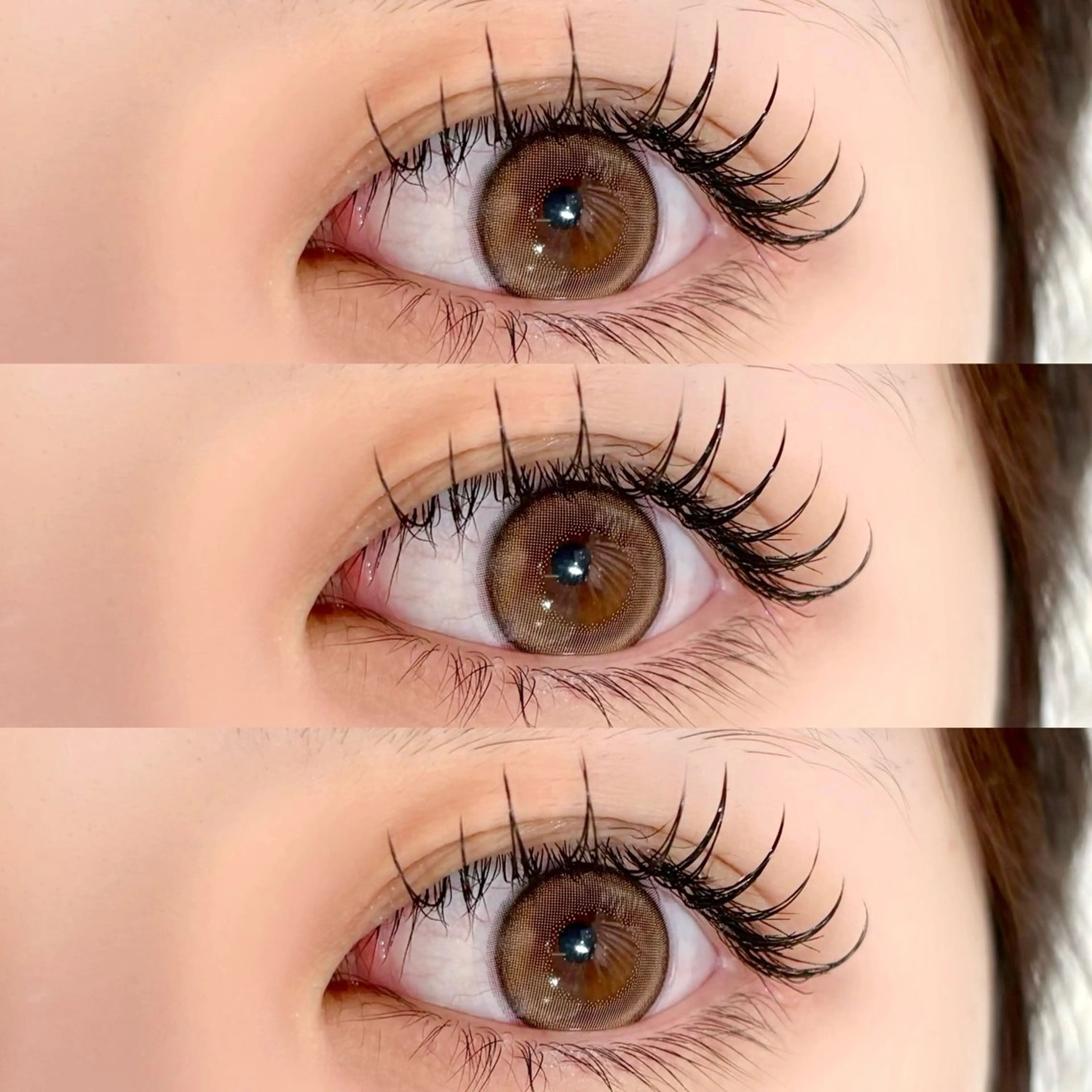 ãããšã¯ã»ããã ææãŸã€æ¯ Dã«ãŒã« ãããšã¯ meg .ã®ãããšã¯ã»ããããã¶ã€ã³