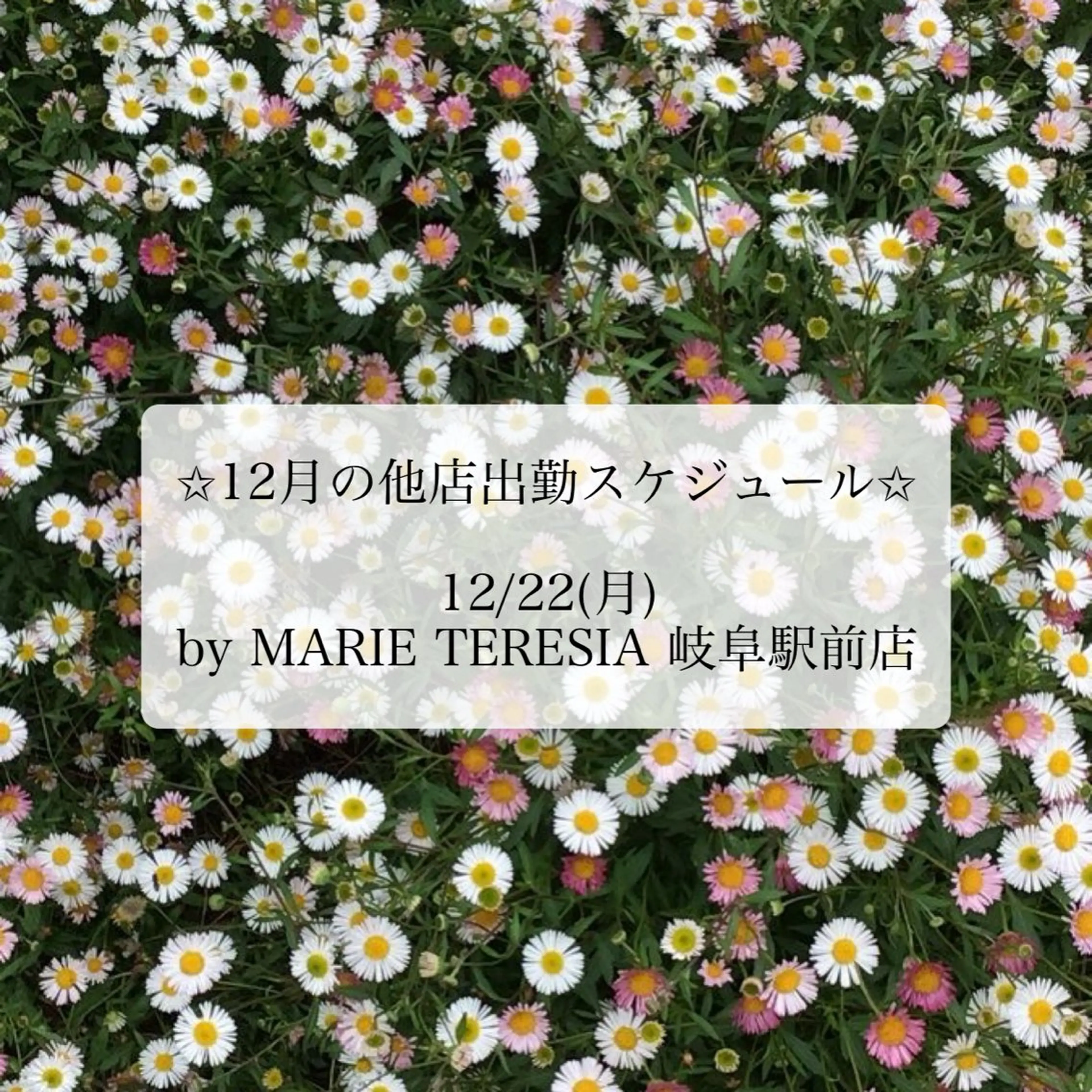 マツパ マリーテレジア 🪽BANNOのマツエク・マツパデザイン