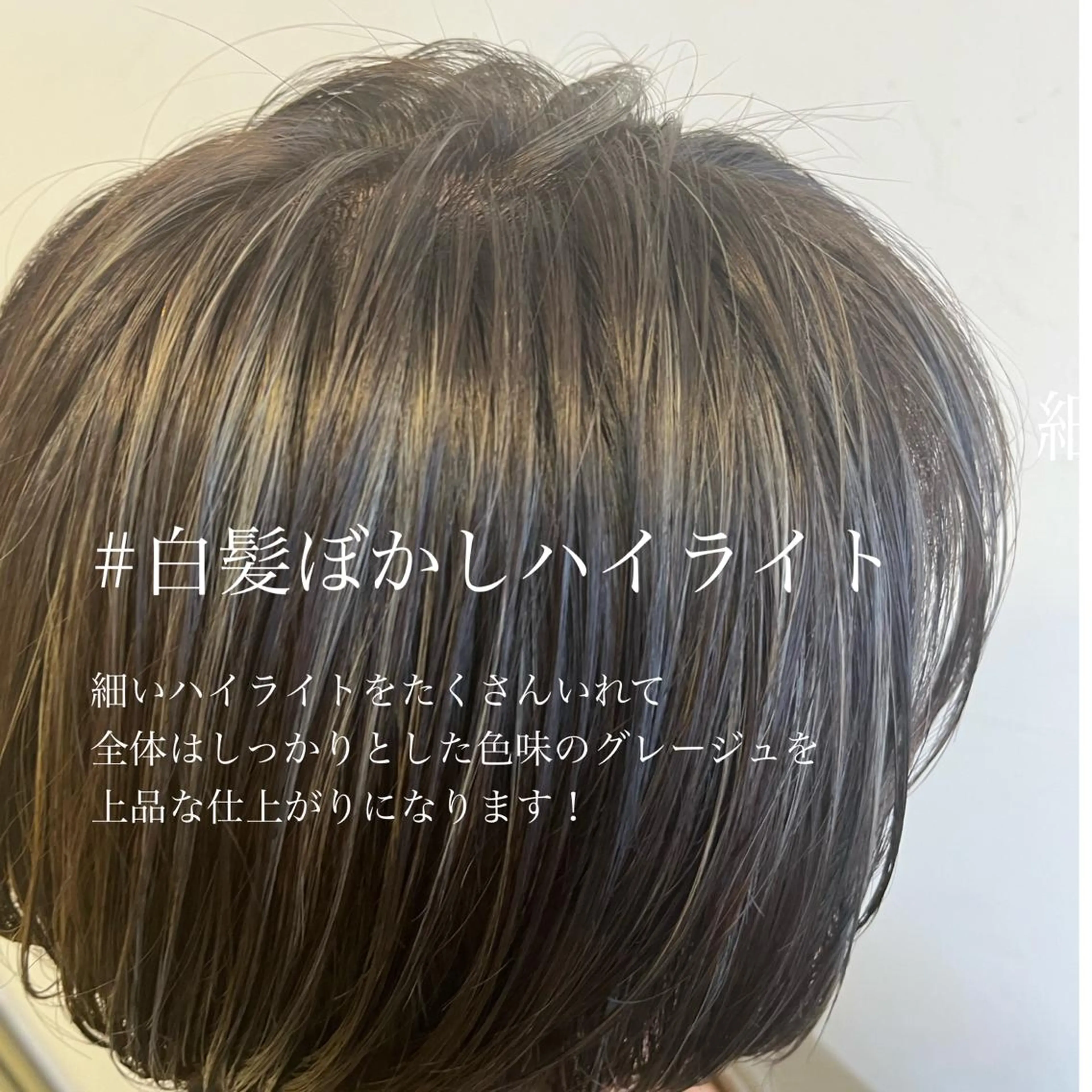 ショート カラー ハイライトカラー ハイライト ⭐️ アユミ⭐️のヘアスタイル