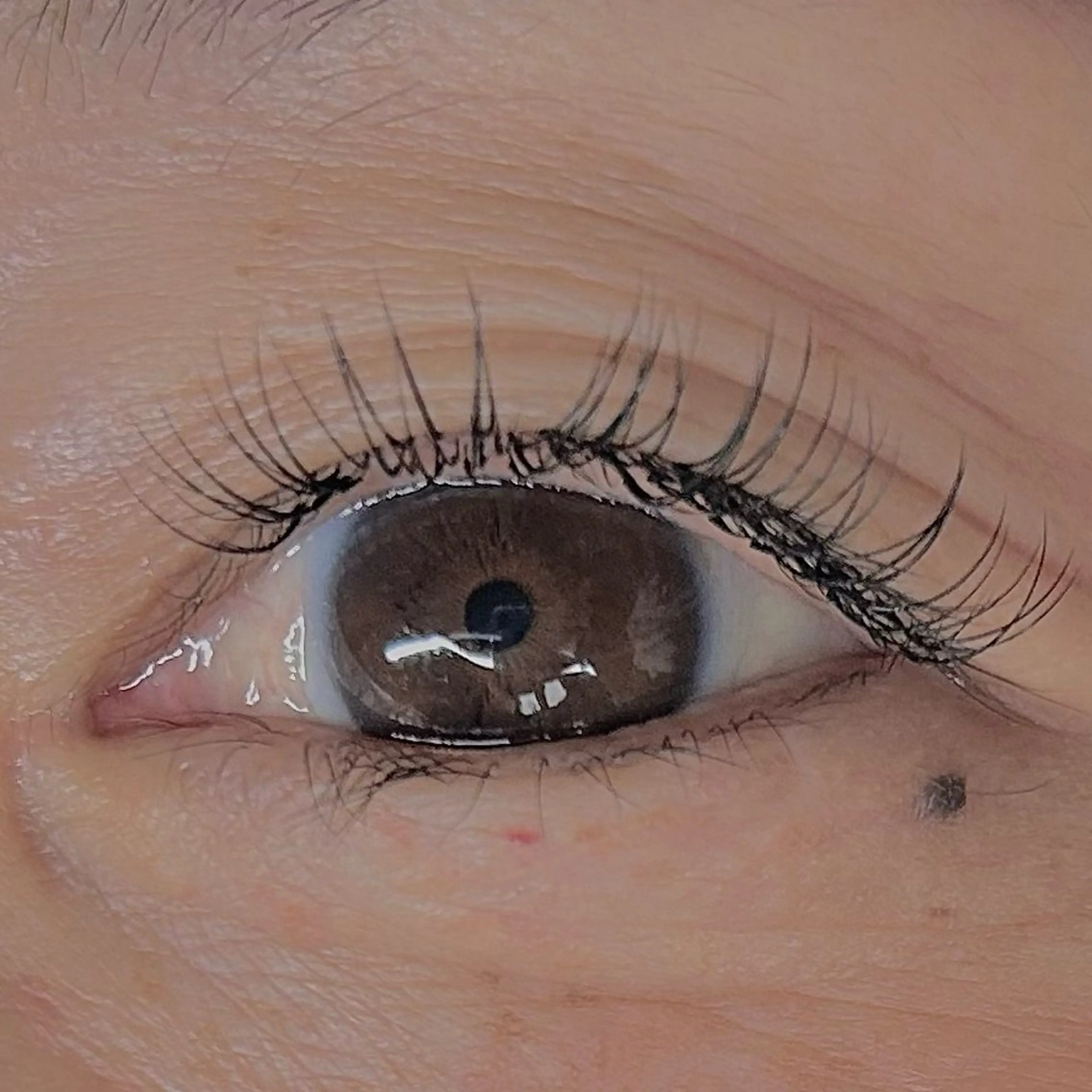 マツエク・マツパ Cカール マツエク soposilma 🧸今季OPENのマツエク・マツパデザイン