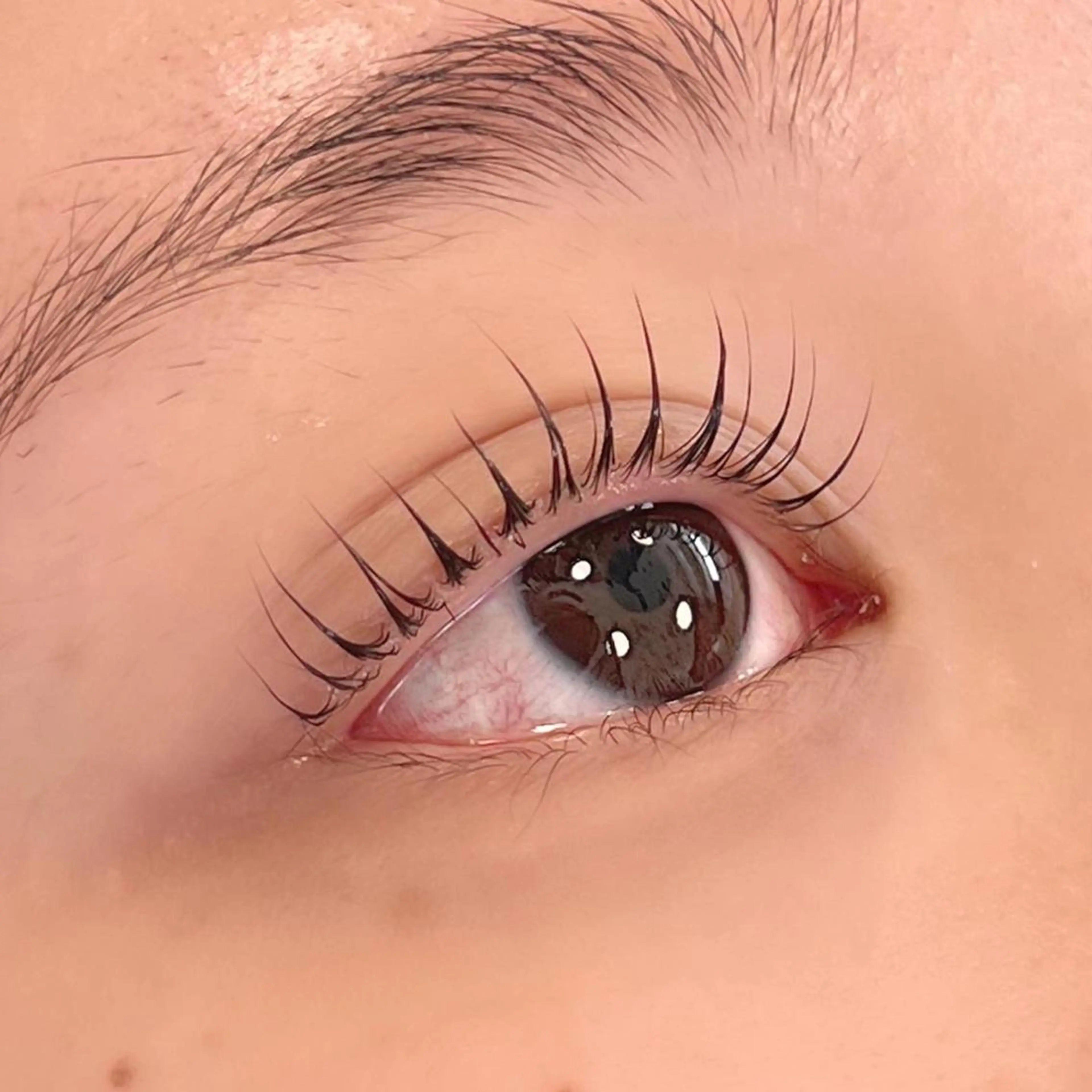 マツエク・マツパ マツパ eyelashZen ♥️HIMEのマツエク・マツパデザイン