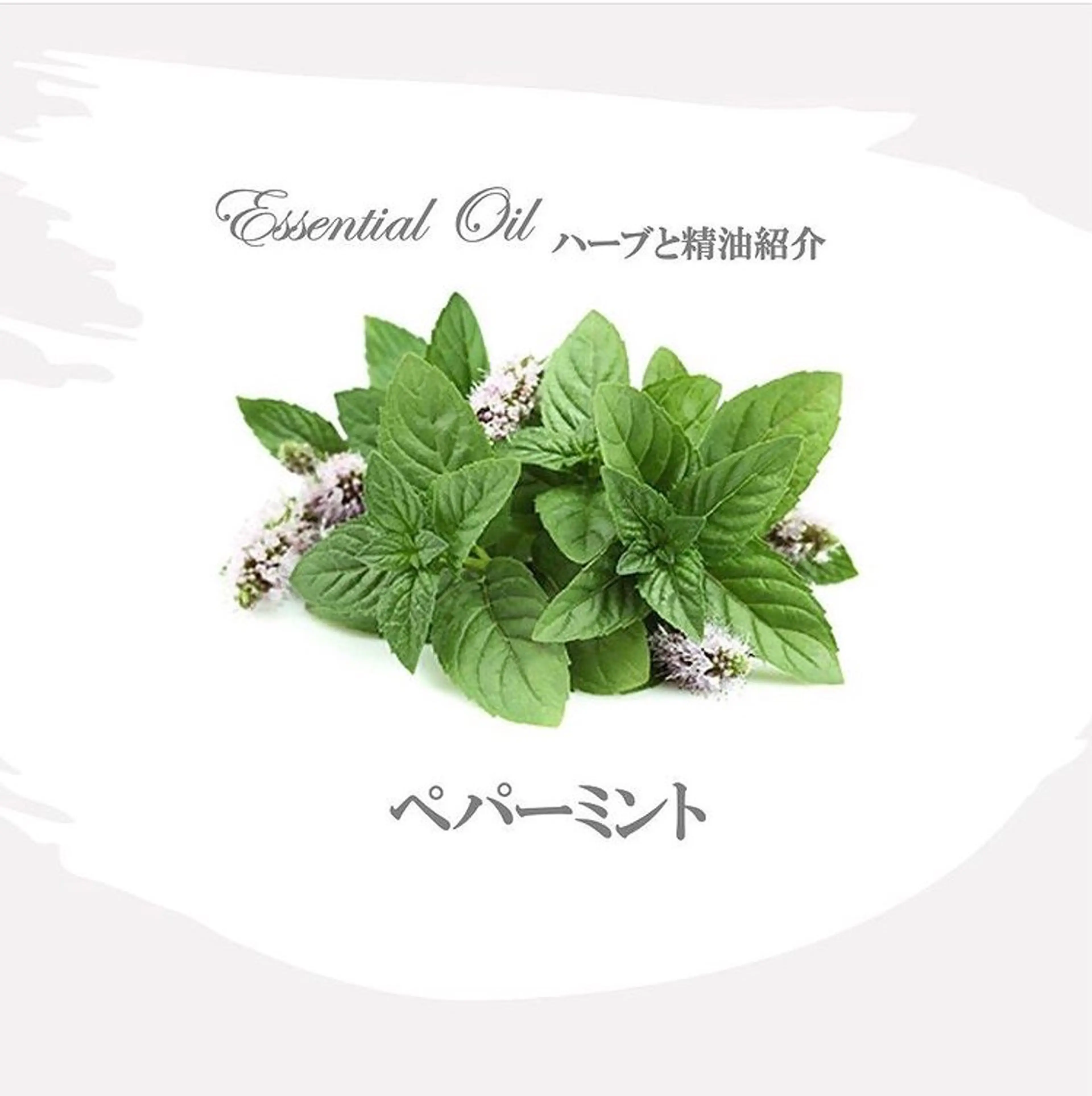 香りの家ローズマリー 🌿アロマリンパのエステ・リラクイメージ