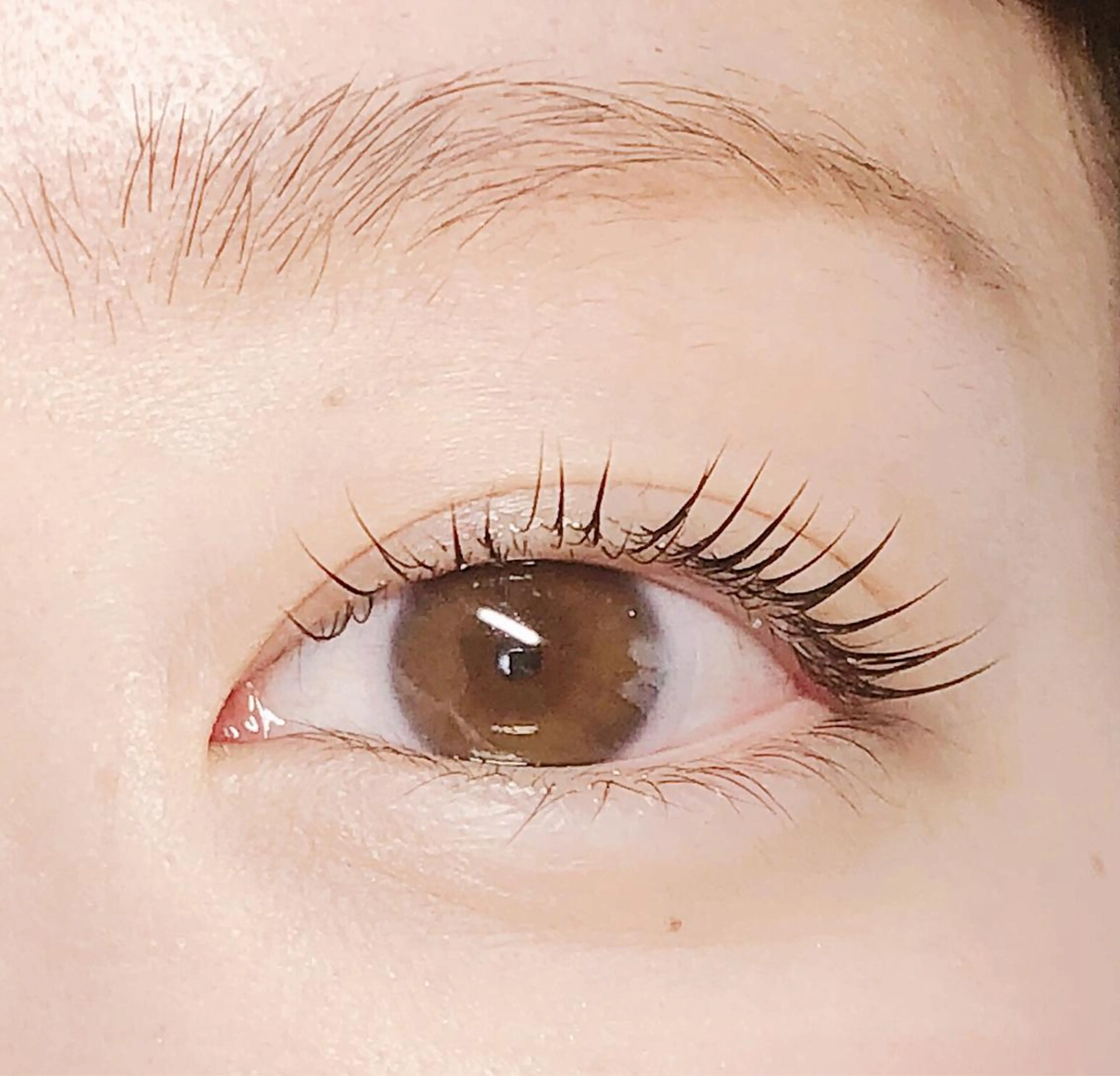 マツエク・マツパ マツパ my lash 祇園店のマツエク・マツパデザイン