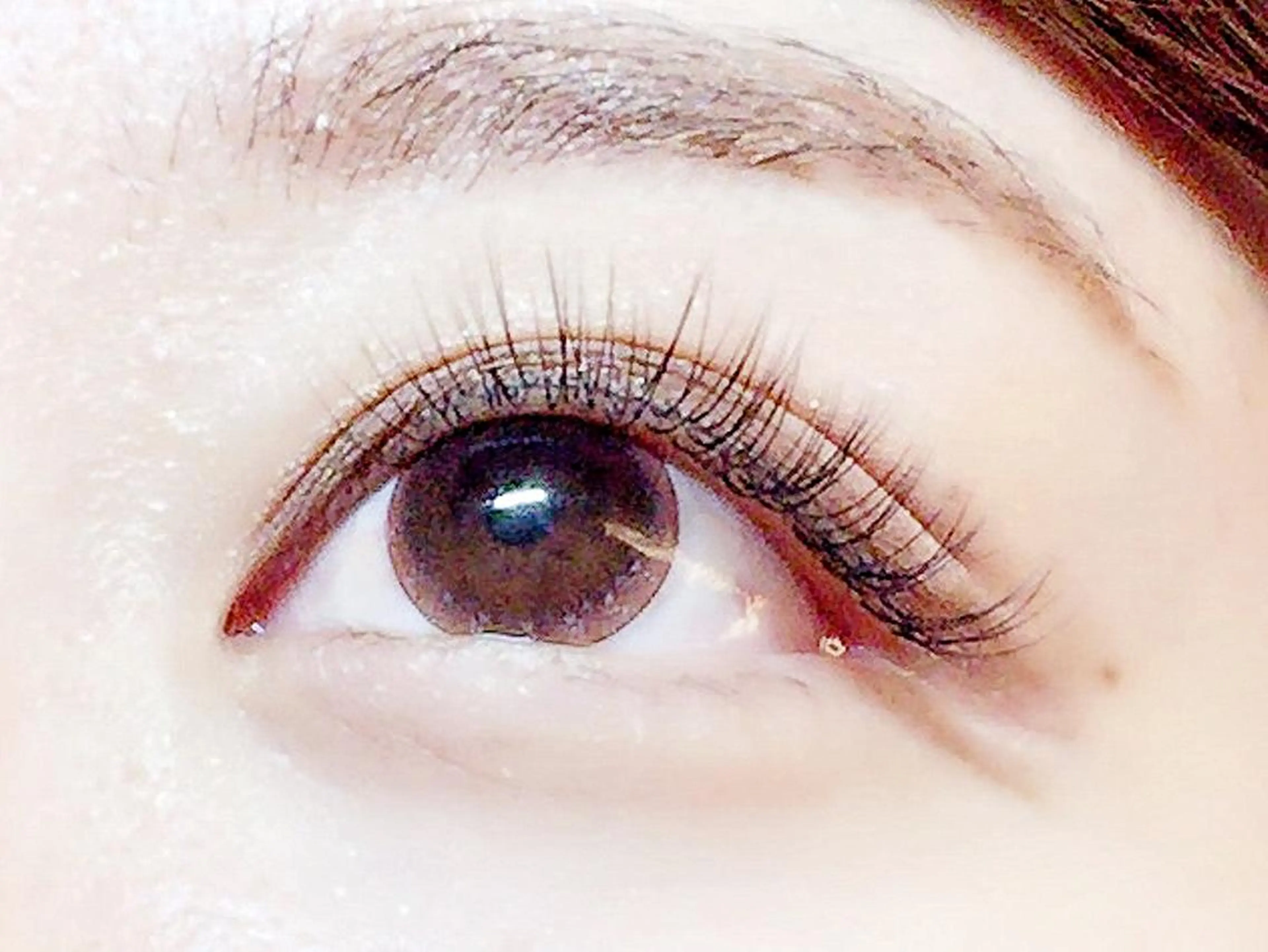 マツエク・マツパ マツエク 奥沢/自由が丘 Lien〈リアン〉の眉毛・アイブロウイメージ