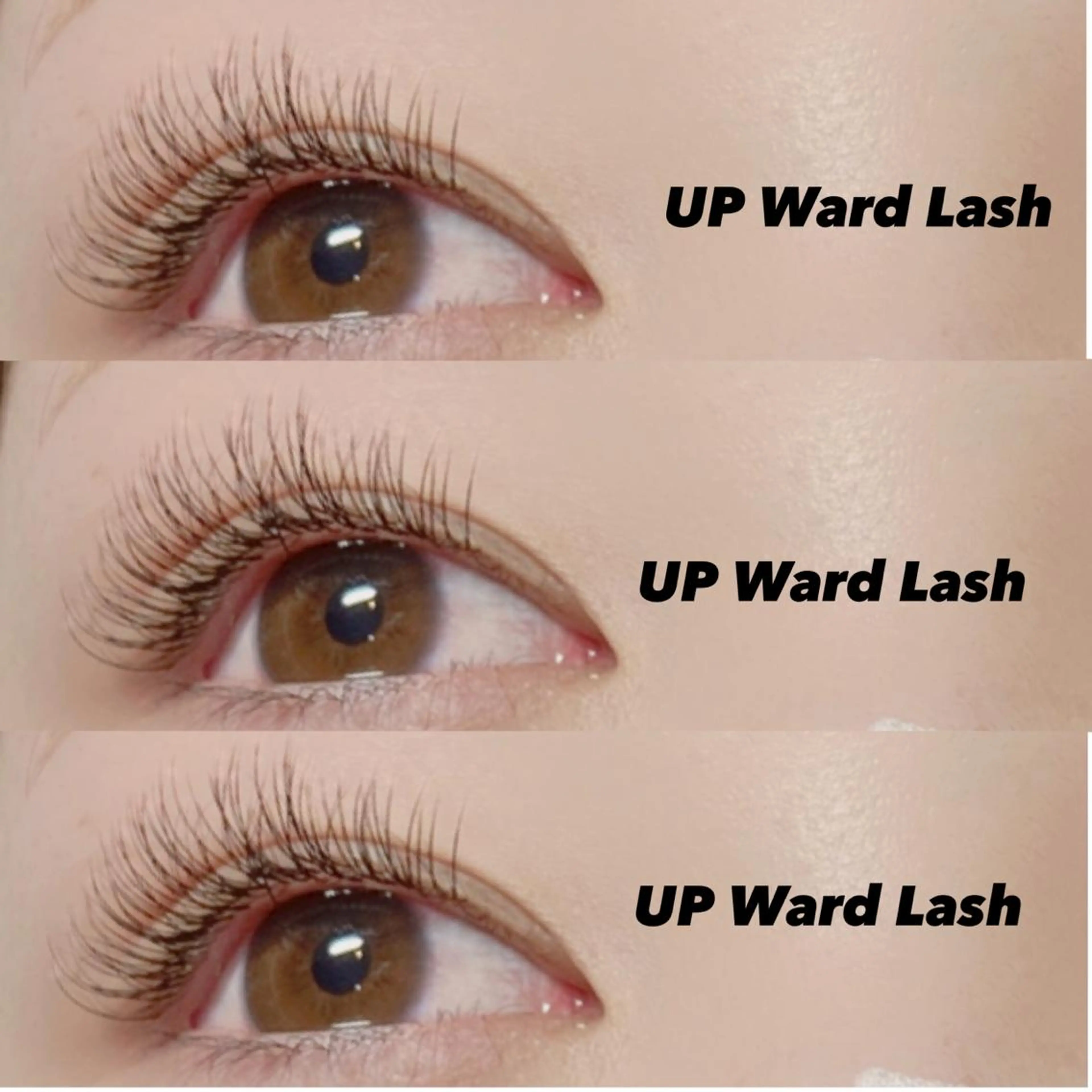 マツエク・マツパ chatran ishimochiのマツエク・マツパデザイン