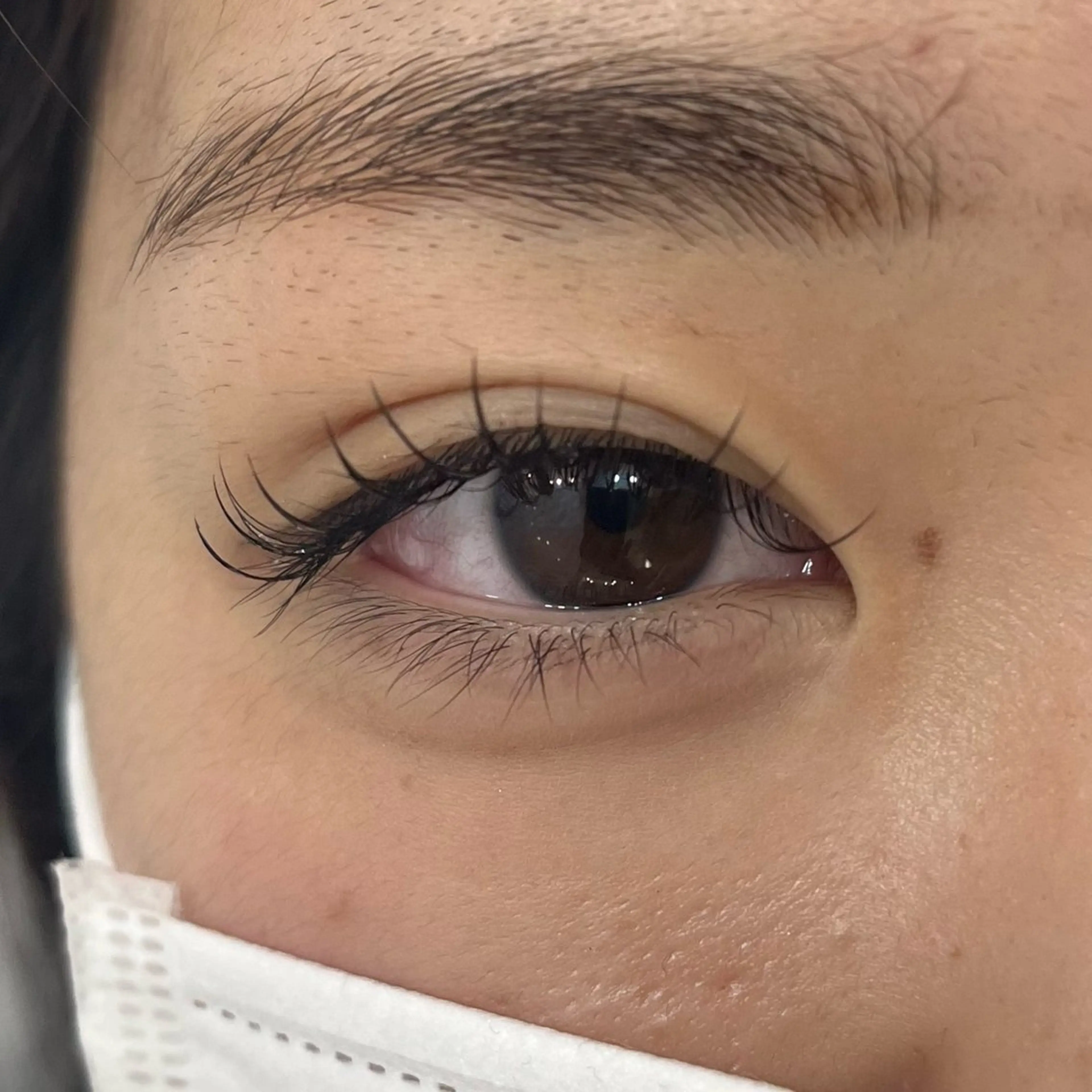 12/1.16時30分~ 𝜗𝜚˚⋆マツエク（オフあり）の写真