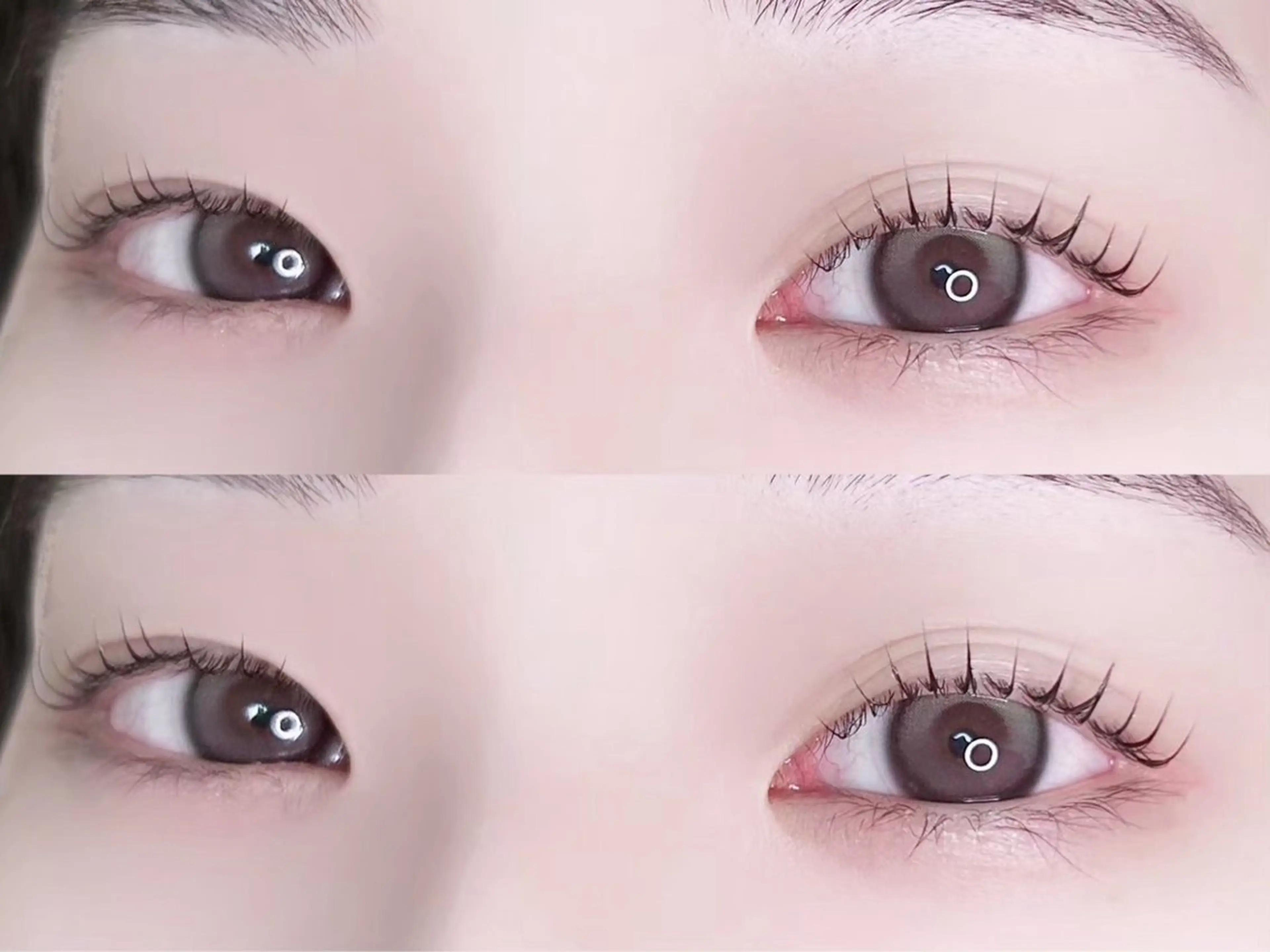 【😍12月限定❣️】しっかり上がるまつ毛パーマ🦋ᩚ美容液コーティング付き🫧ྀི✨️の写真