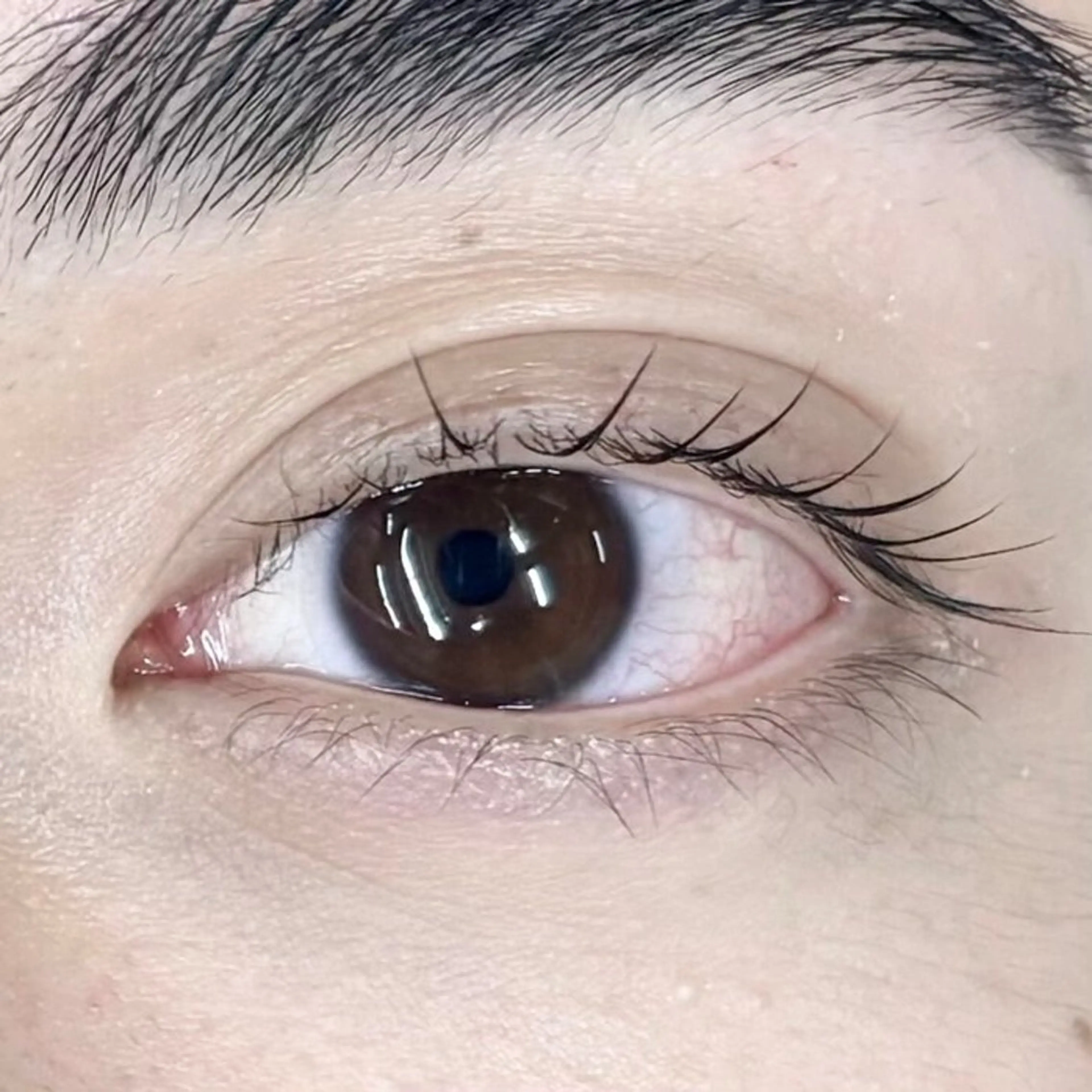 メンズまつげパーマの写真