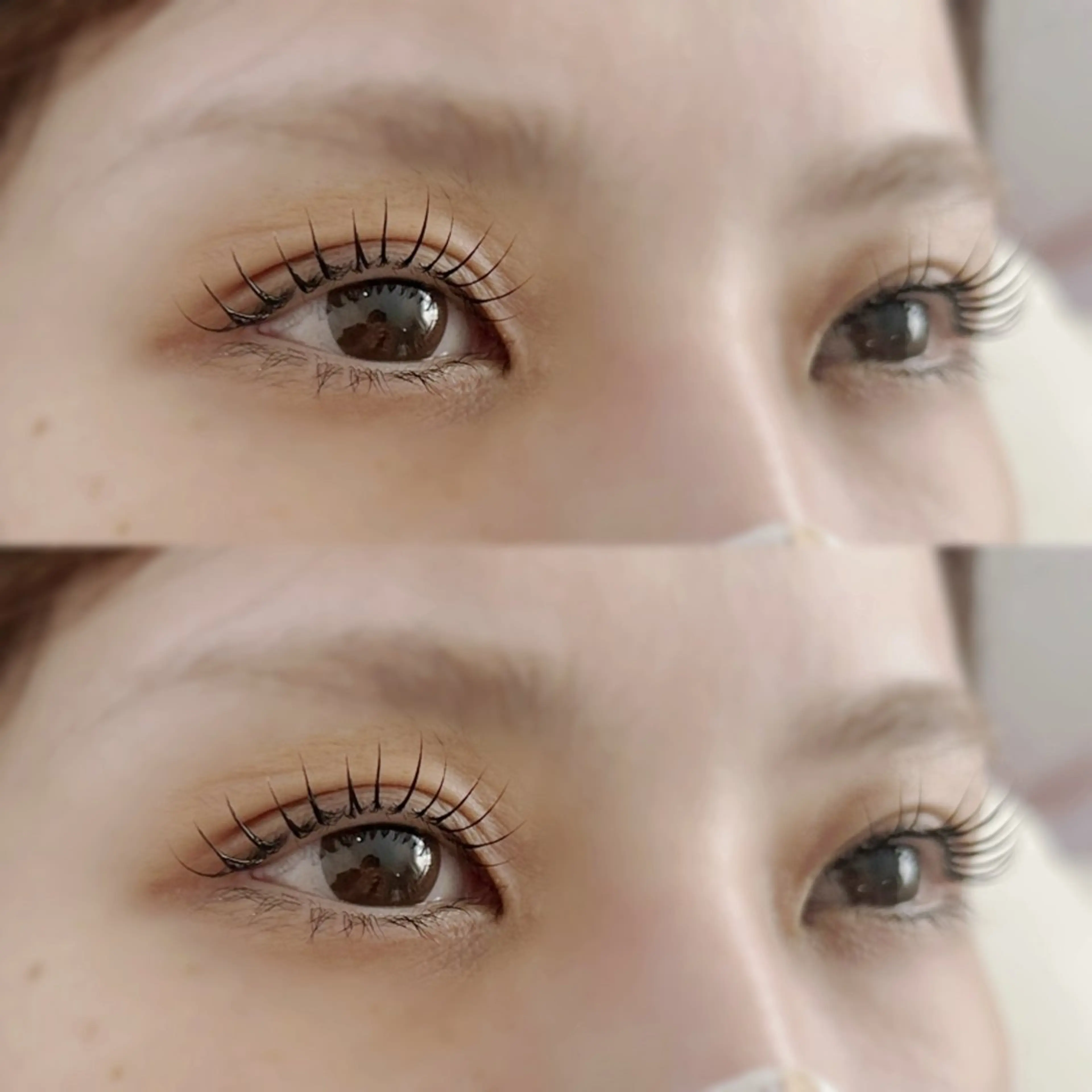 🎀まつ毛パーマモデル🎀(上)の写真