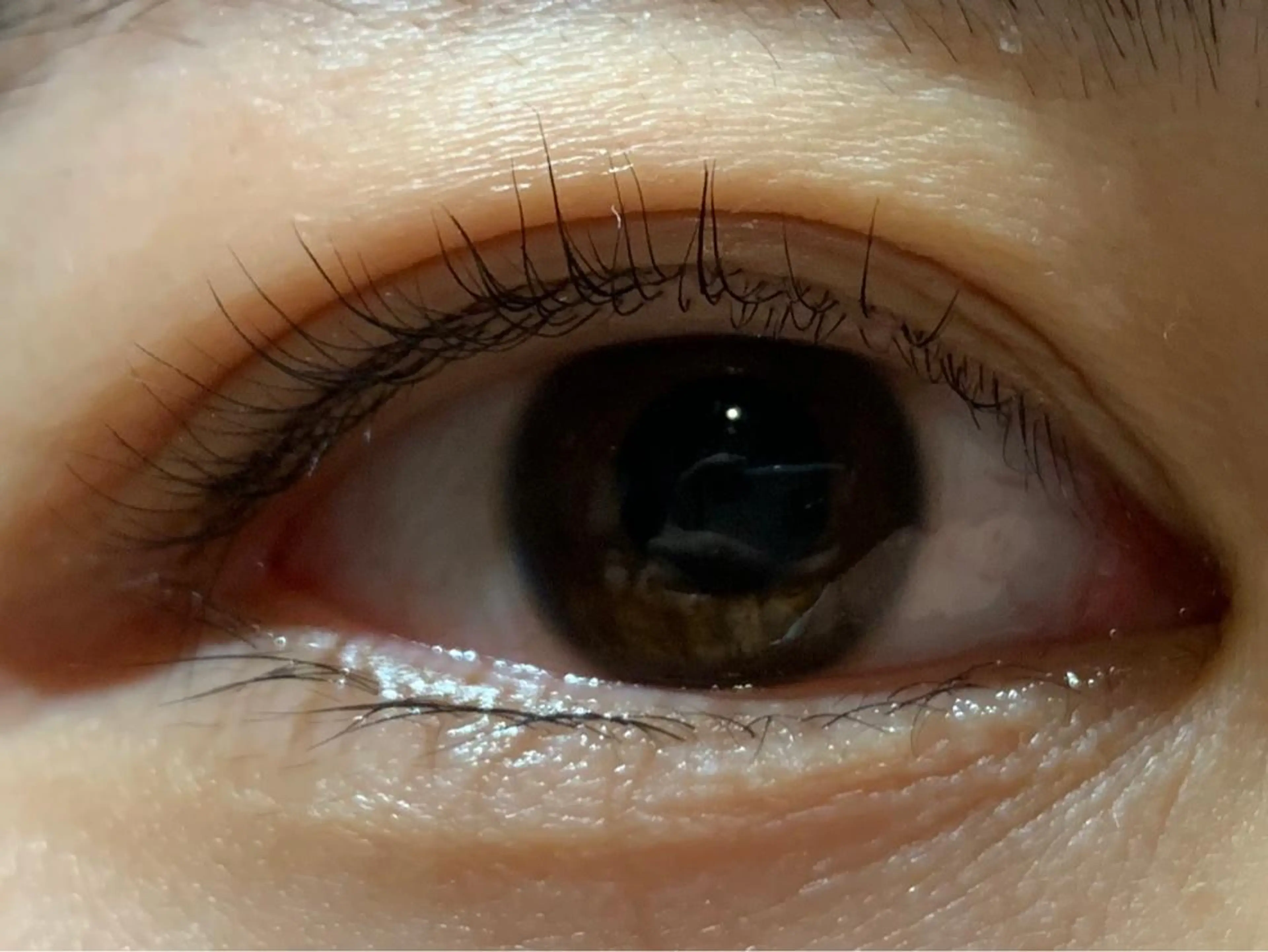 マツエク・マツパ マツパ 直井 望のマツエク・マツパデザイン