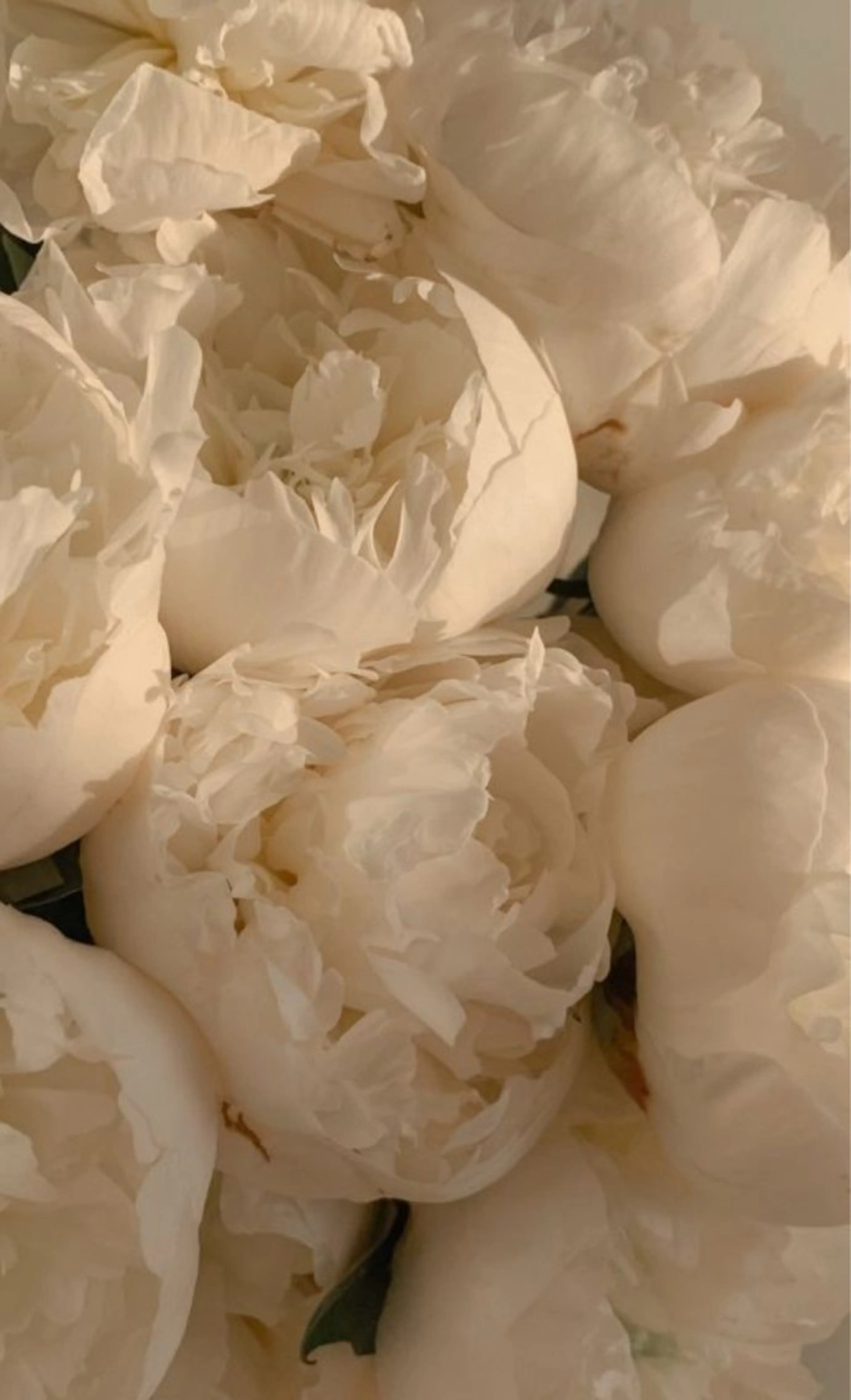 マツエク・マツパ Bianca川越西口 Sena/束感のマツエク・マツパデザイン