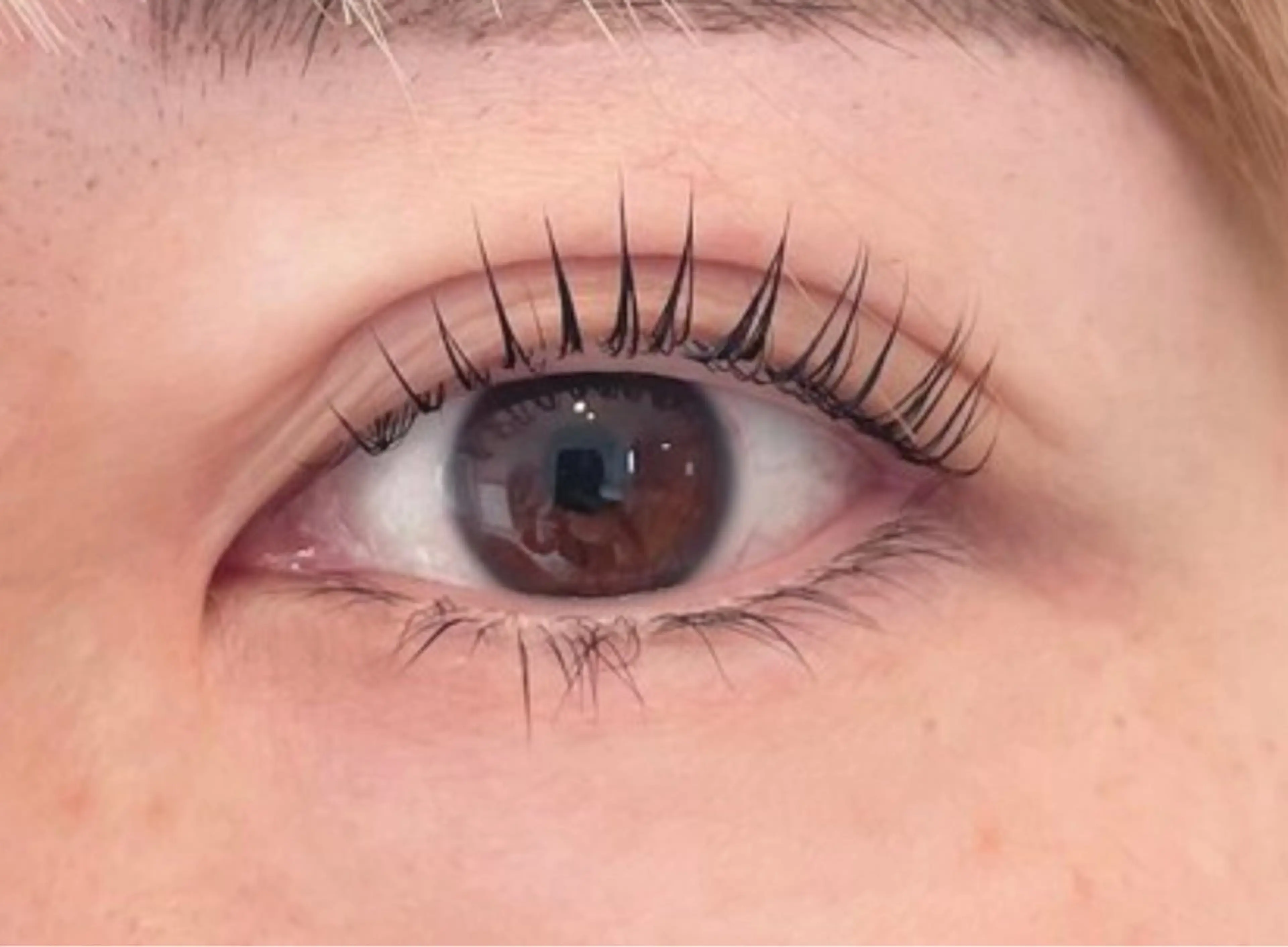 マツエク・マツパ マツパ Koa eyelash所属・eyelist🌷 yamakawaのマツエク・マツパデザイン
