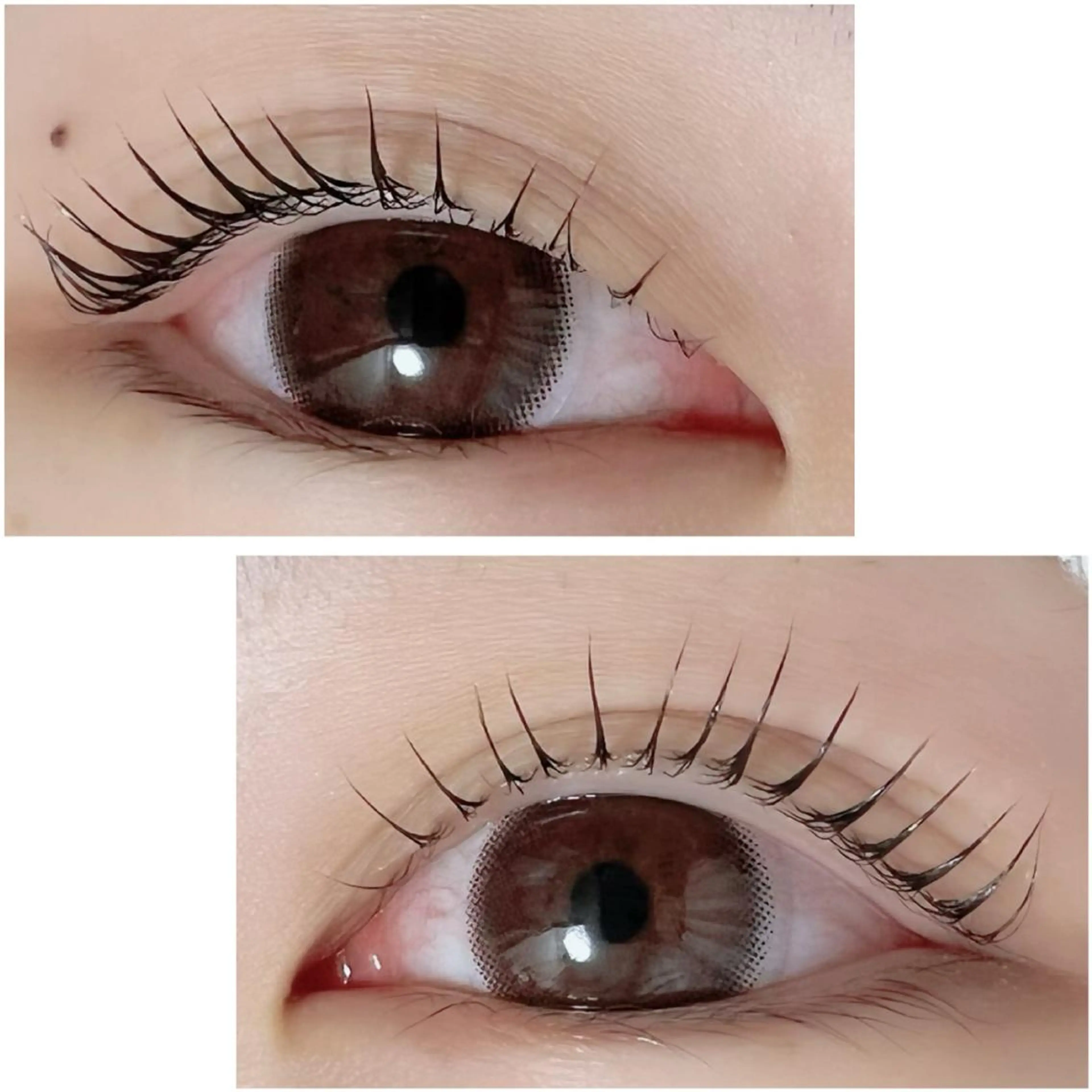 マツエク・マツパ Adorer(アドレ)所属・Adorer 🍀アドレ🍀のマツエク・マツパデザイン