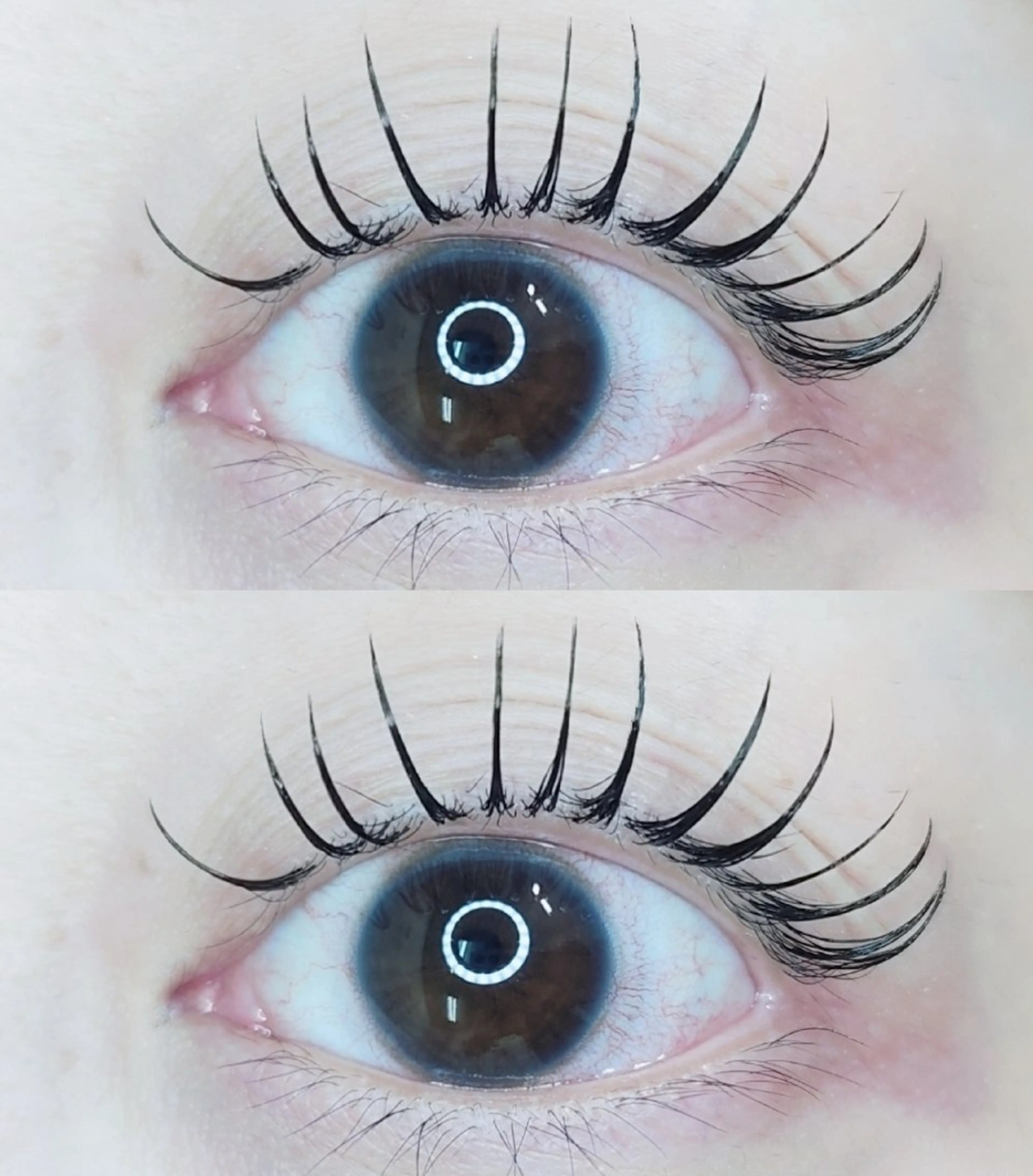 マツエク・マツパ 束感まつ毛 マツエク E.m.u..所属・E.m.u.. エミュのマツエク・マツパデザイン