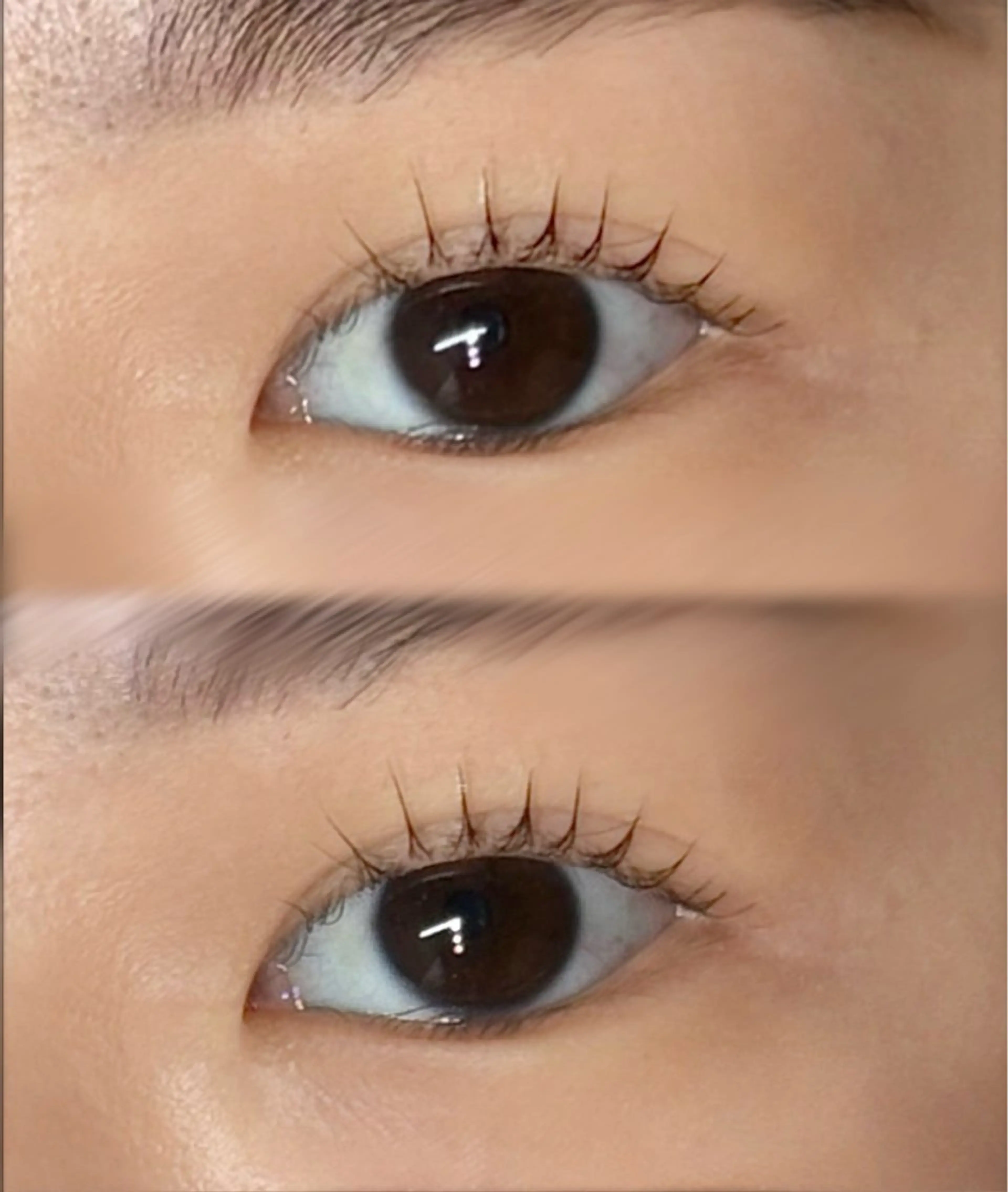 マツエク・マツパ パリジェンヌラッシュリフト 一重×まつ毛パーマ マツパ fein. kaho︎♡の眉毛・アイブロウイメージ