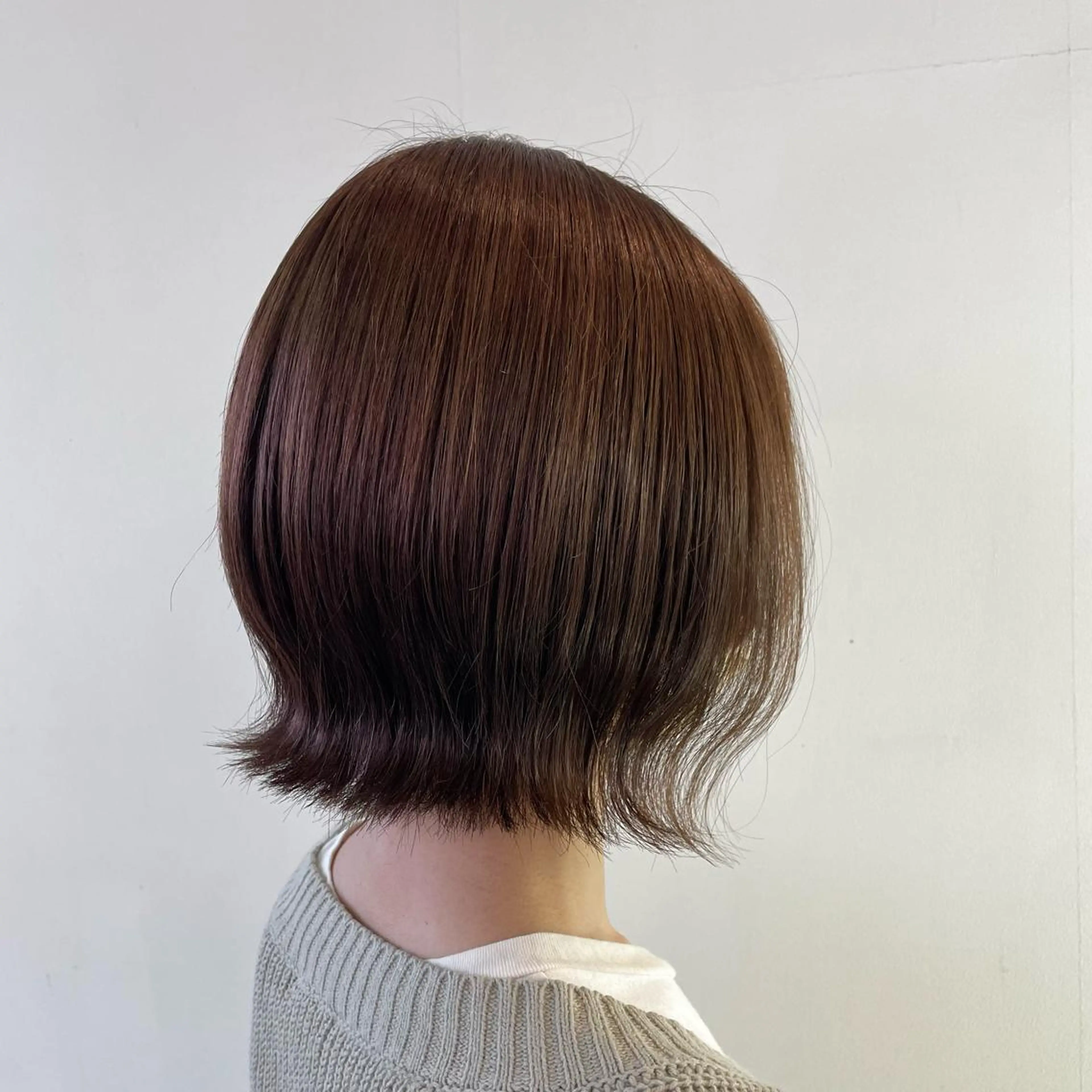 平日限定  カットモデルの写真