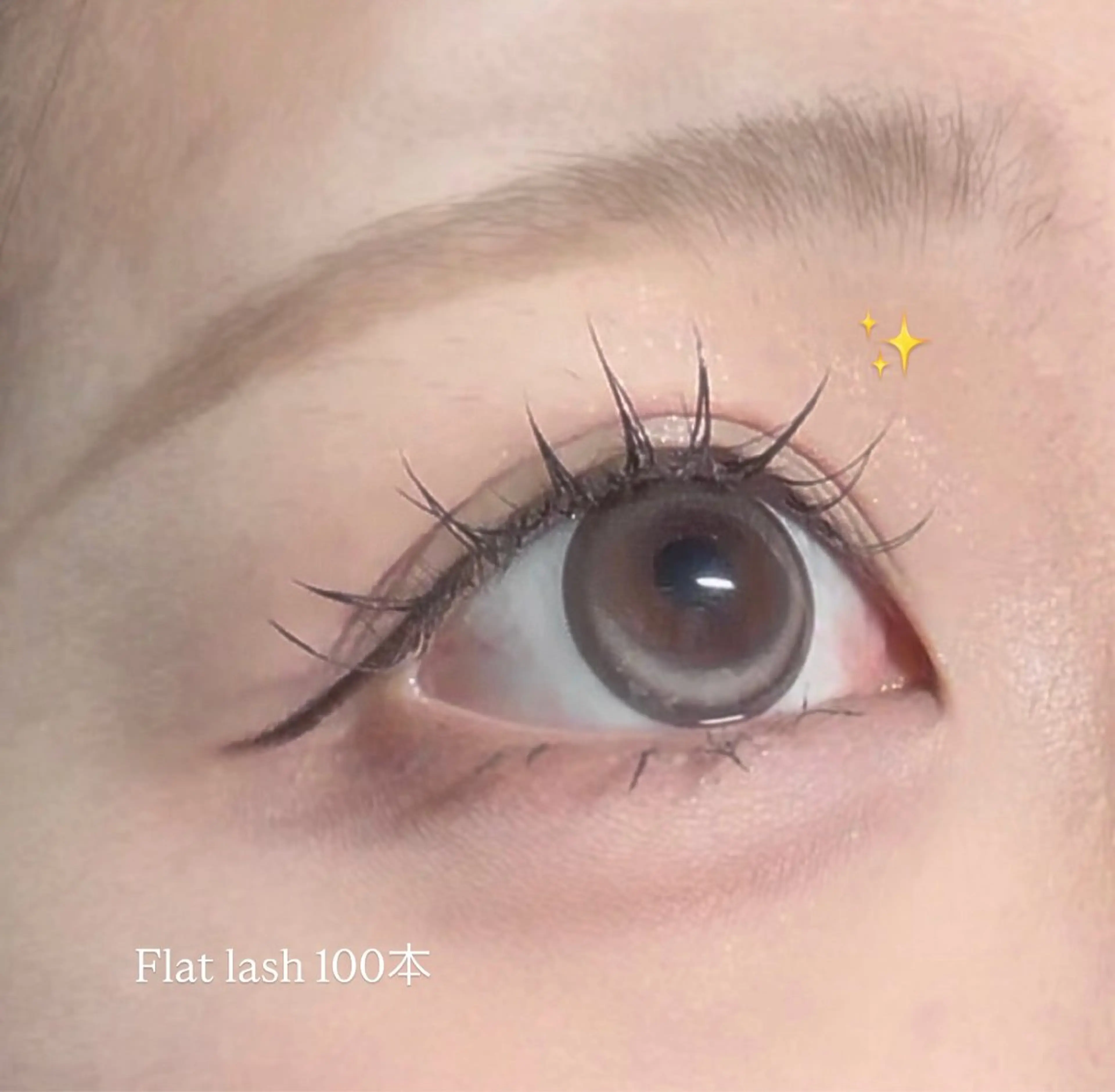 フラットラッシュ60本の写真