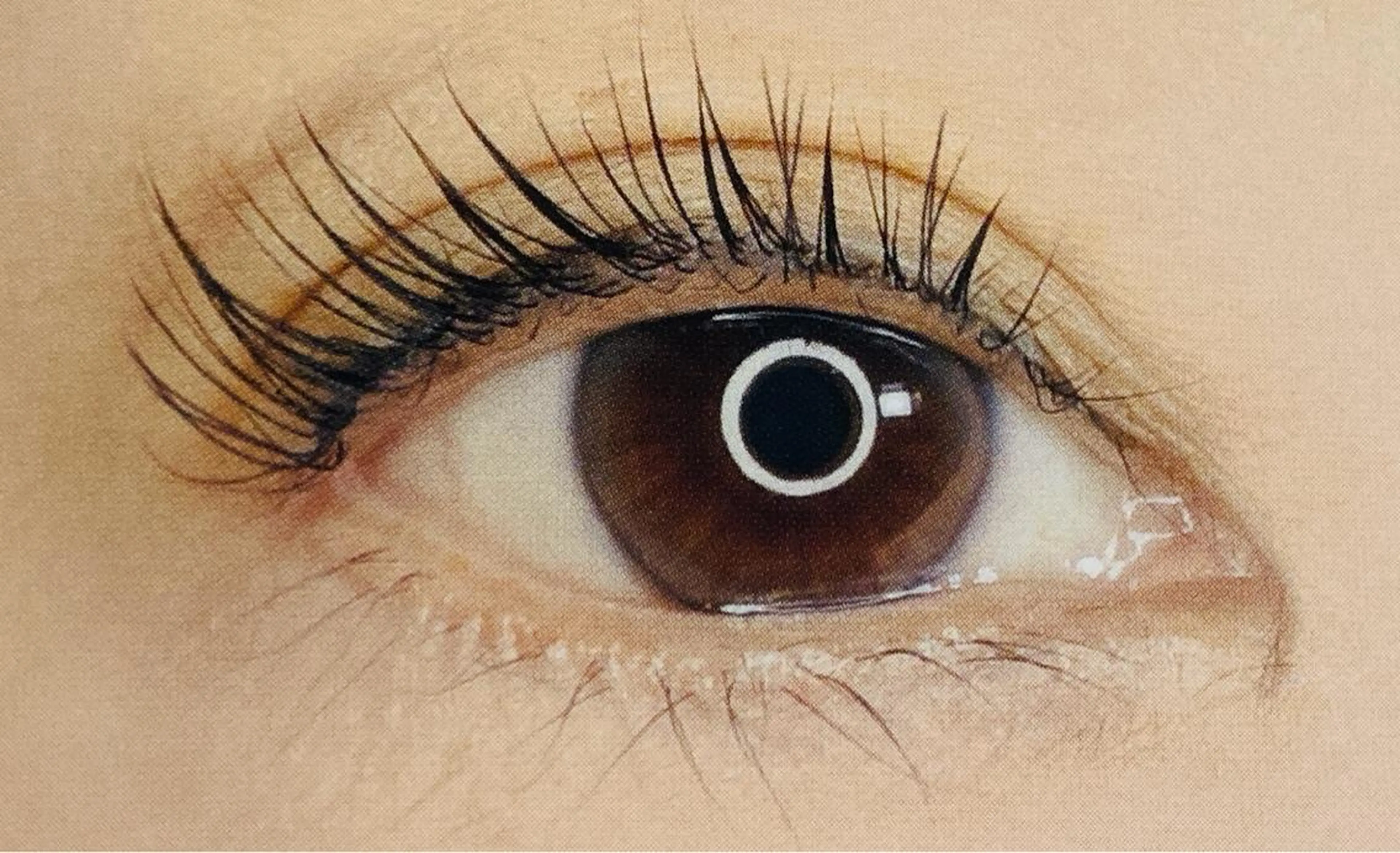 マツエク・マツパ muguet 立川店のマツエク・マツパデザイン