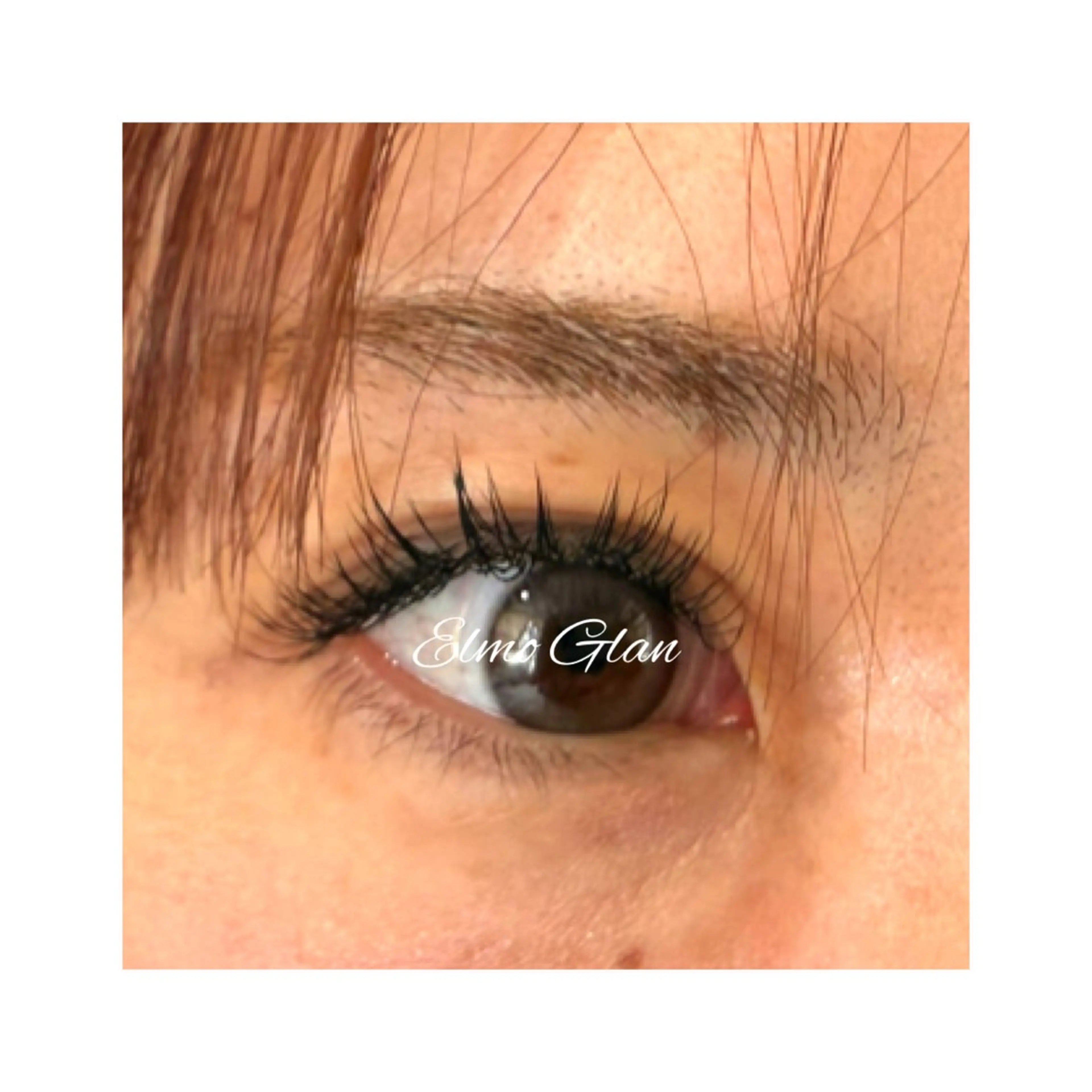 マツエク・マツパ フラットラッシュ Elmo Glan サカモトのマツエク・マツパデザイン