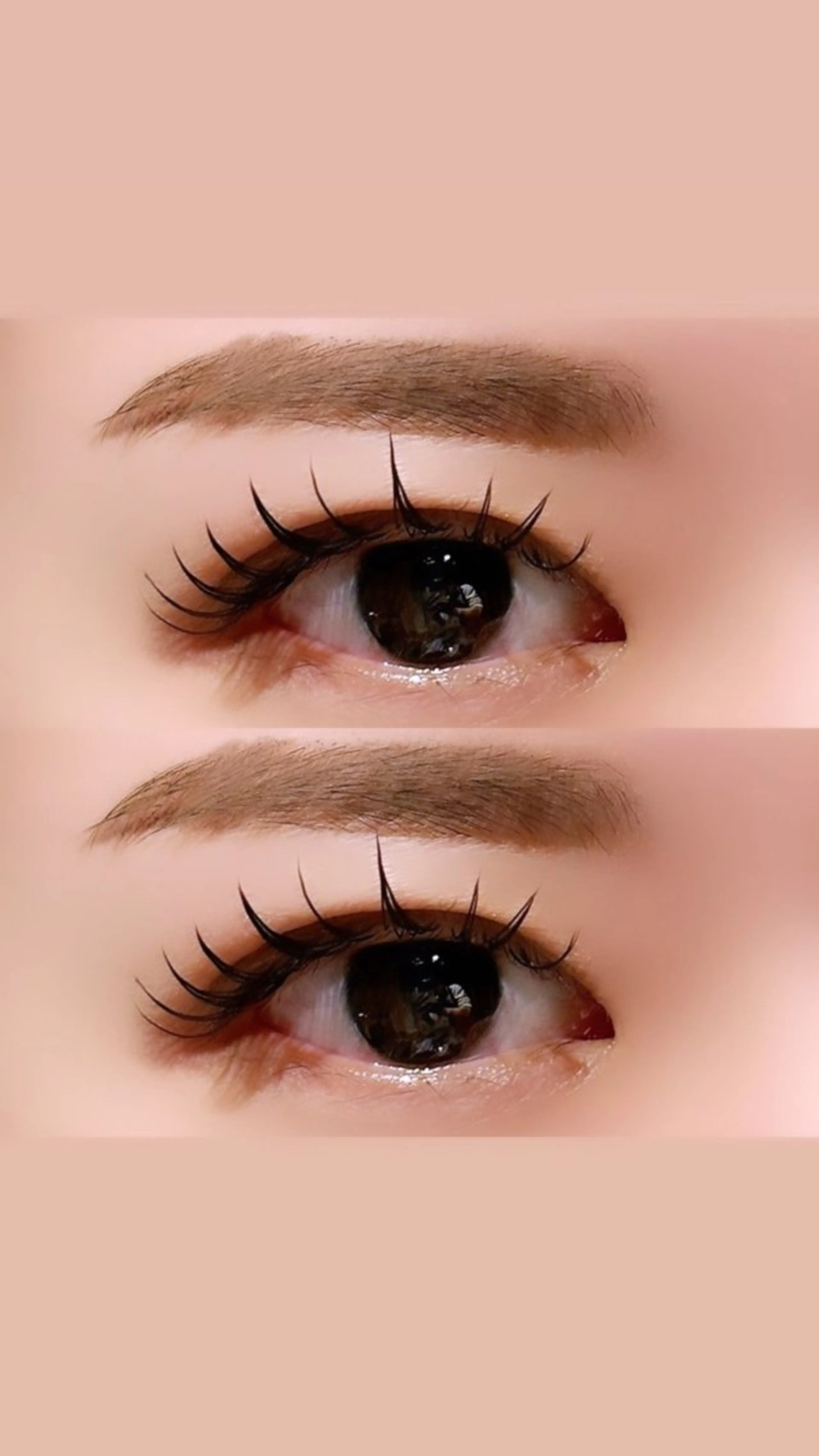 マツエク・マツパ eye &nailSABA beauty space所属・Koyuki /岡崎 /マツエク/ マツパの眉毛・アイブロウイメージ