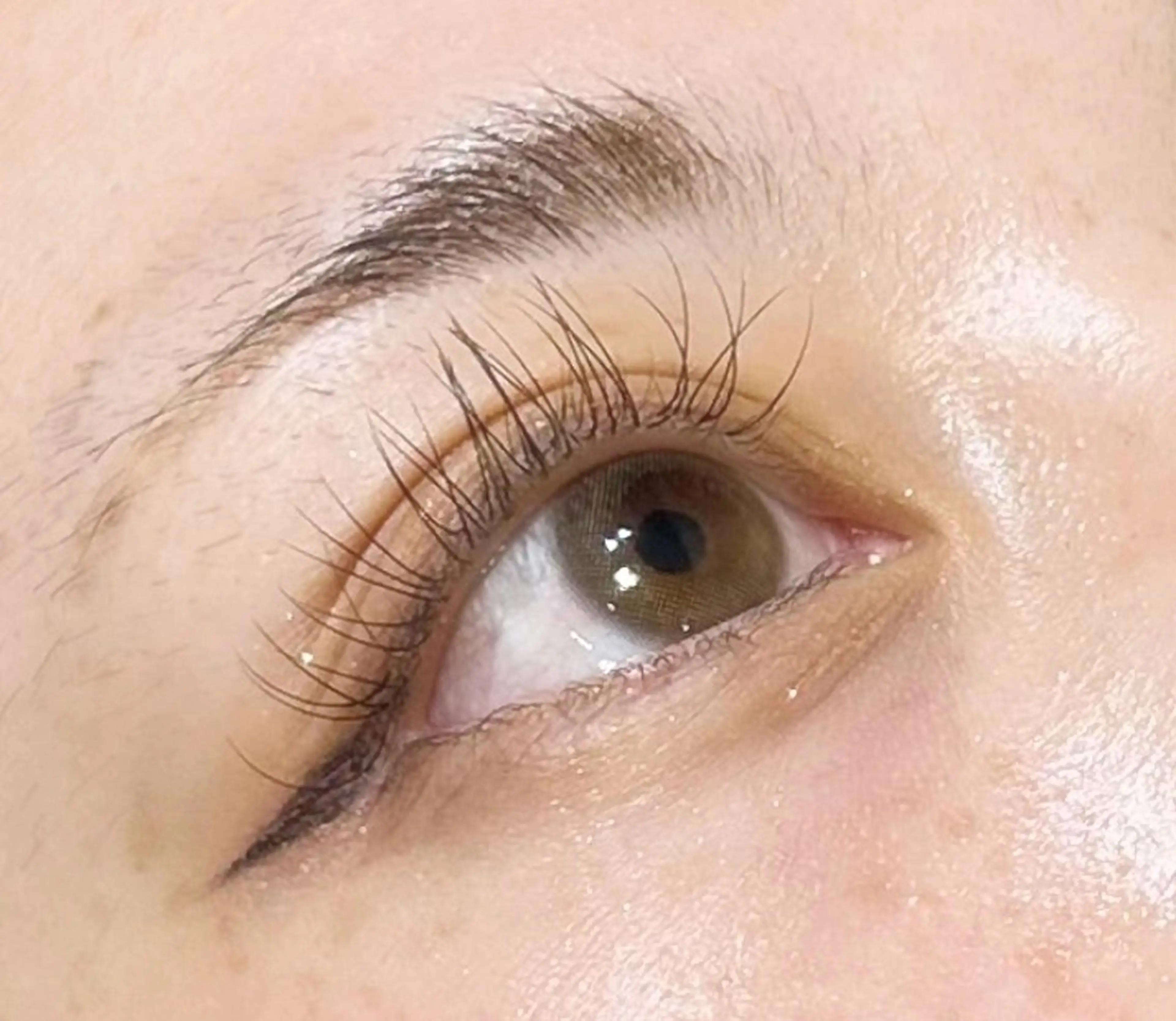 【11/11まで】まつ毛エクステ無料モデル最高級ランクシルクエクステ🐏60本の写真