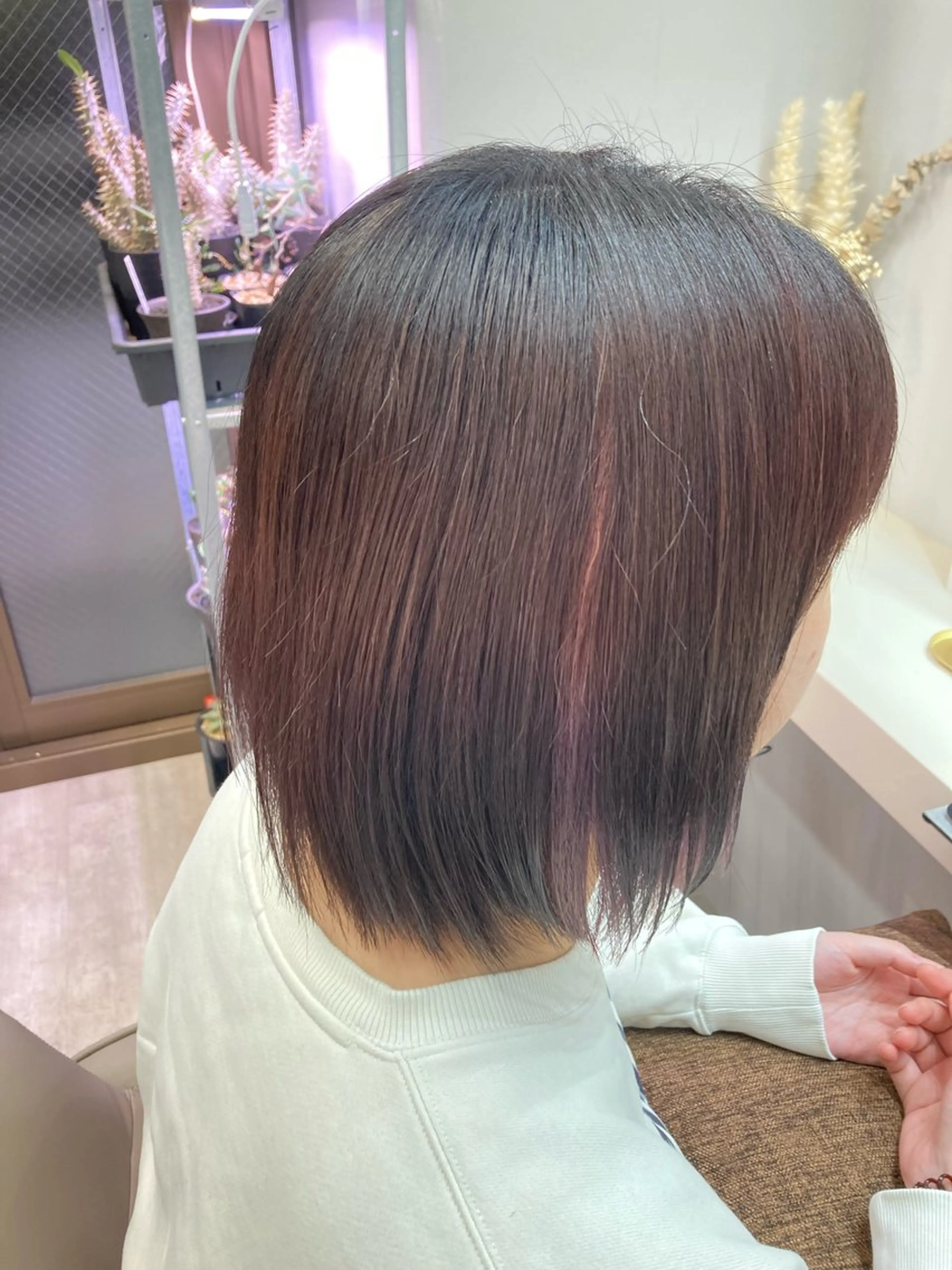ミディアム ボブ カット 池田 太一のヘアスタイル