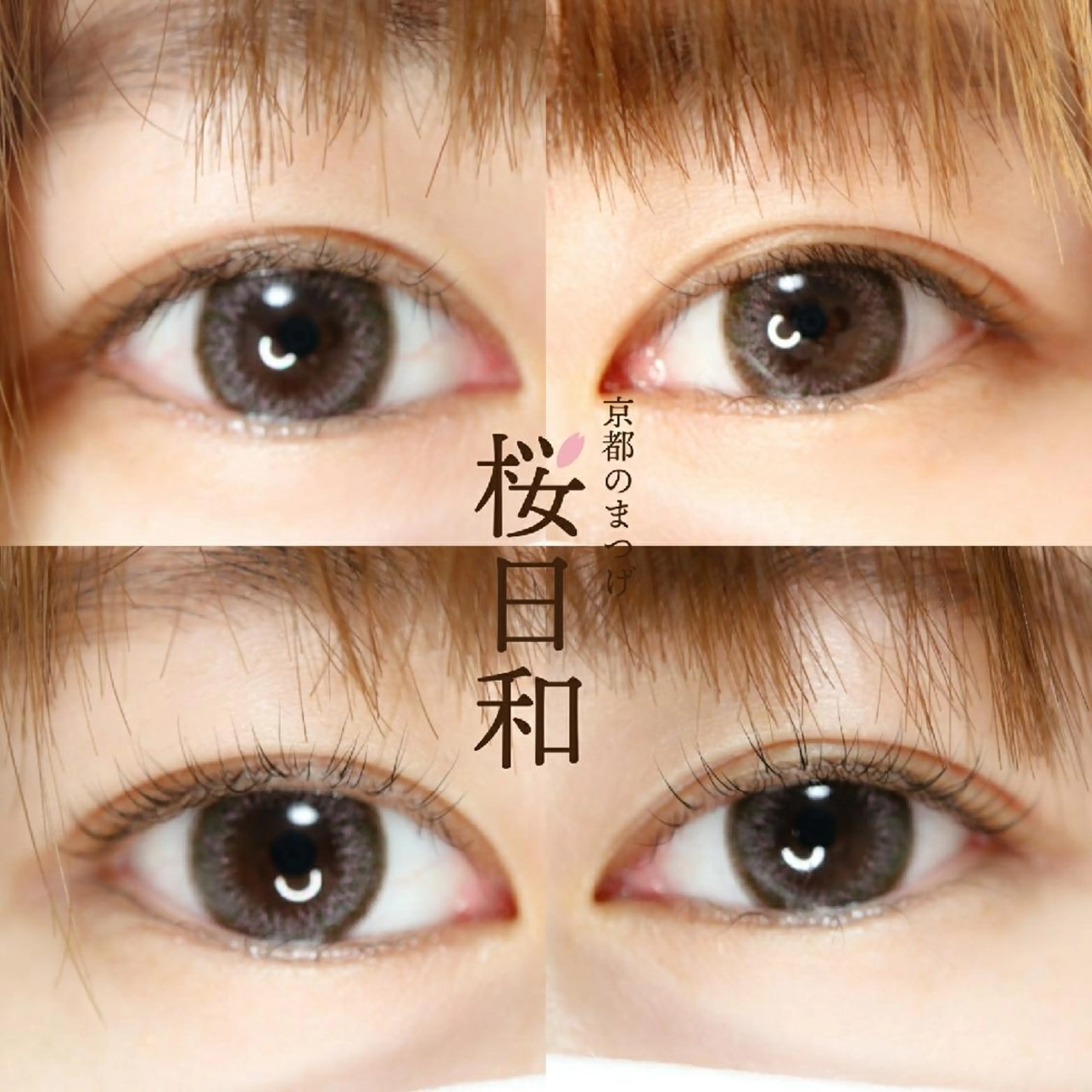 マツエク・マツパ Bカール フラットラッシュ まつげパーマ 一重×まつ毛パーマ ボリュームラッシュ 京都のまつげ桜日和 小島美桜のマツエク・マツパデザイン