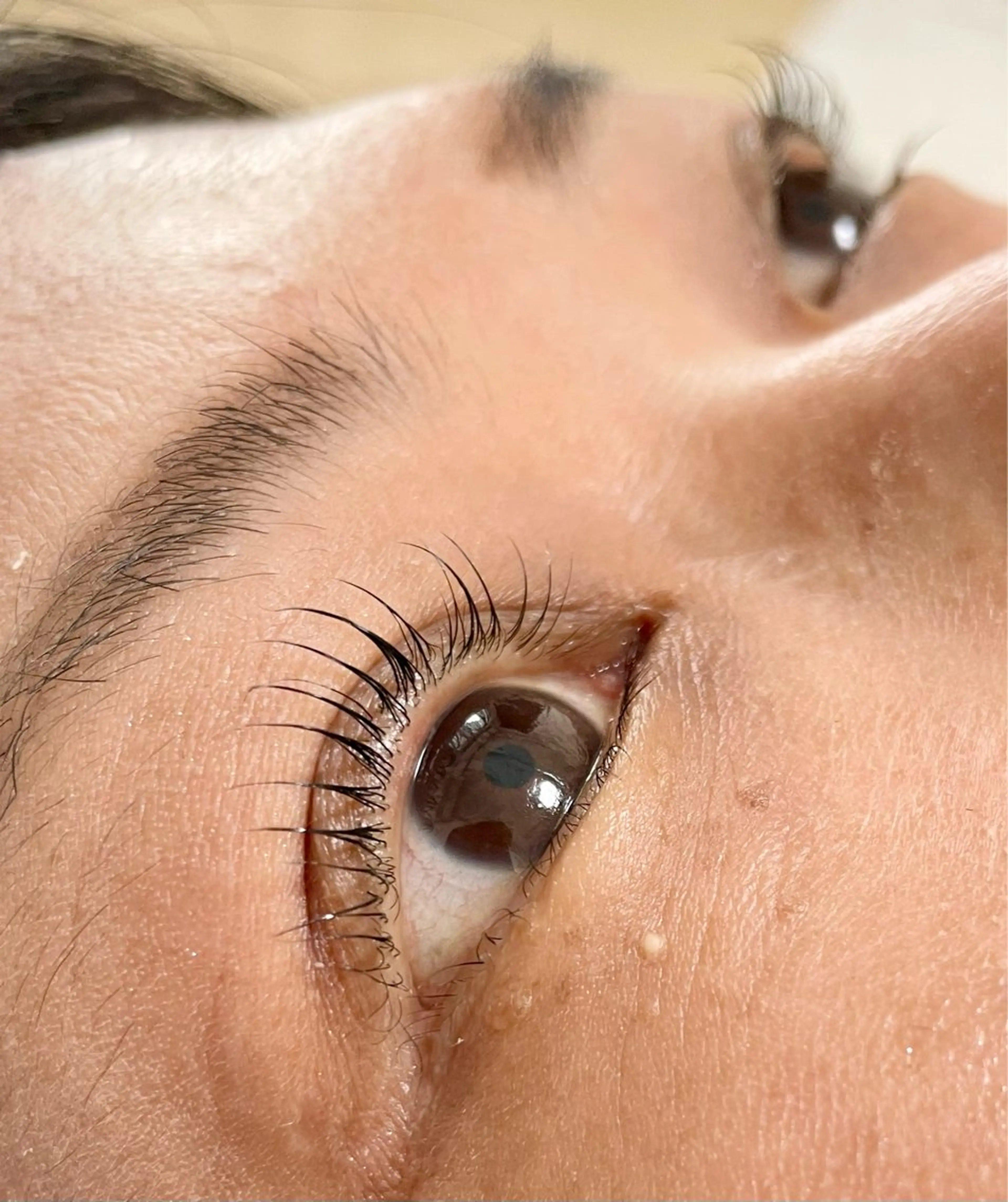 マツエク・マツパ まつげパーマ マツパ SENA.Eyelash salon柏原店(セナアイラッシュサロン)所属・SENA セナのマツエク・マツパデザイン
