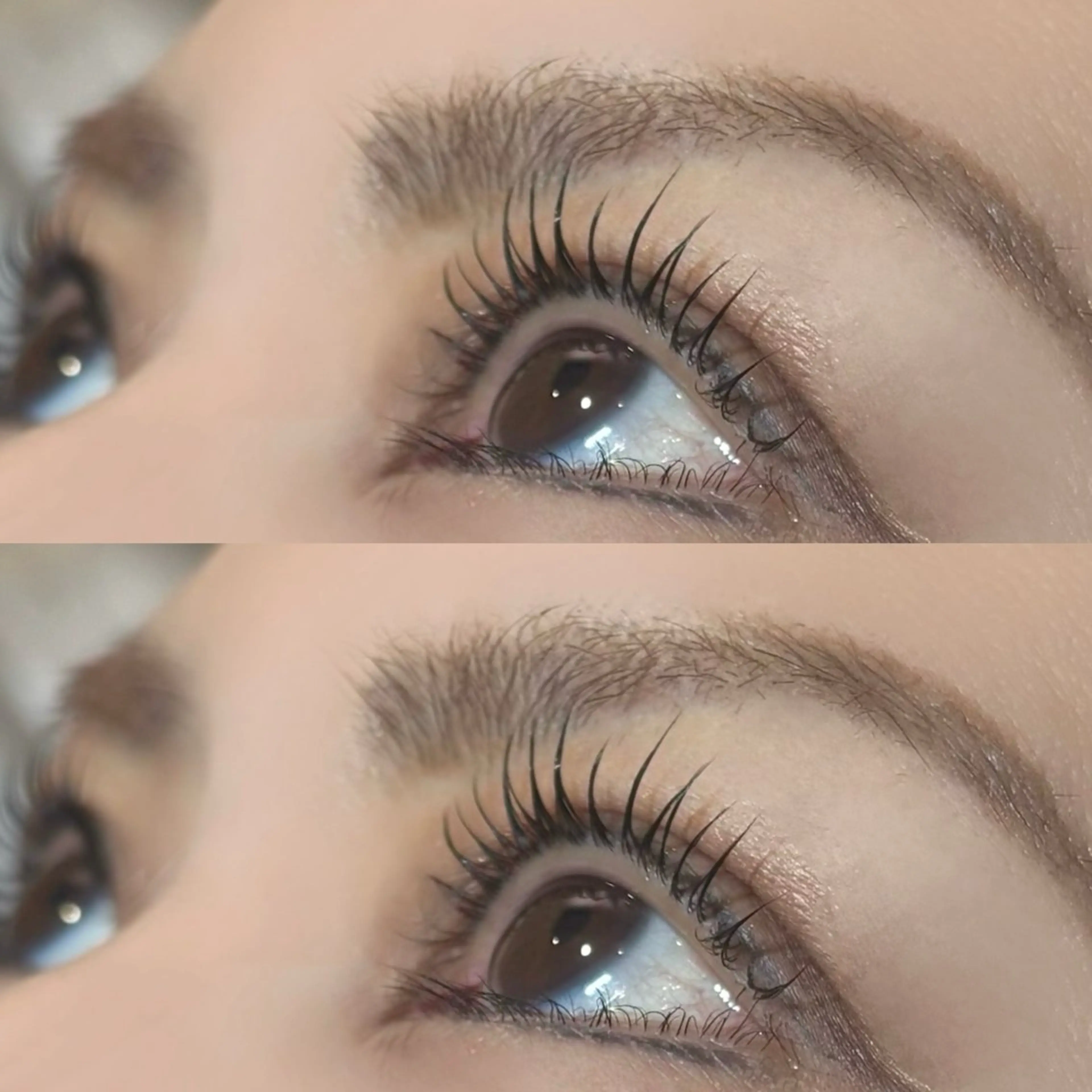 マツエク・マツパ Lupines Asahi🔆のマツエク・マツパデザイン