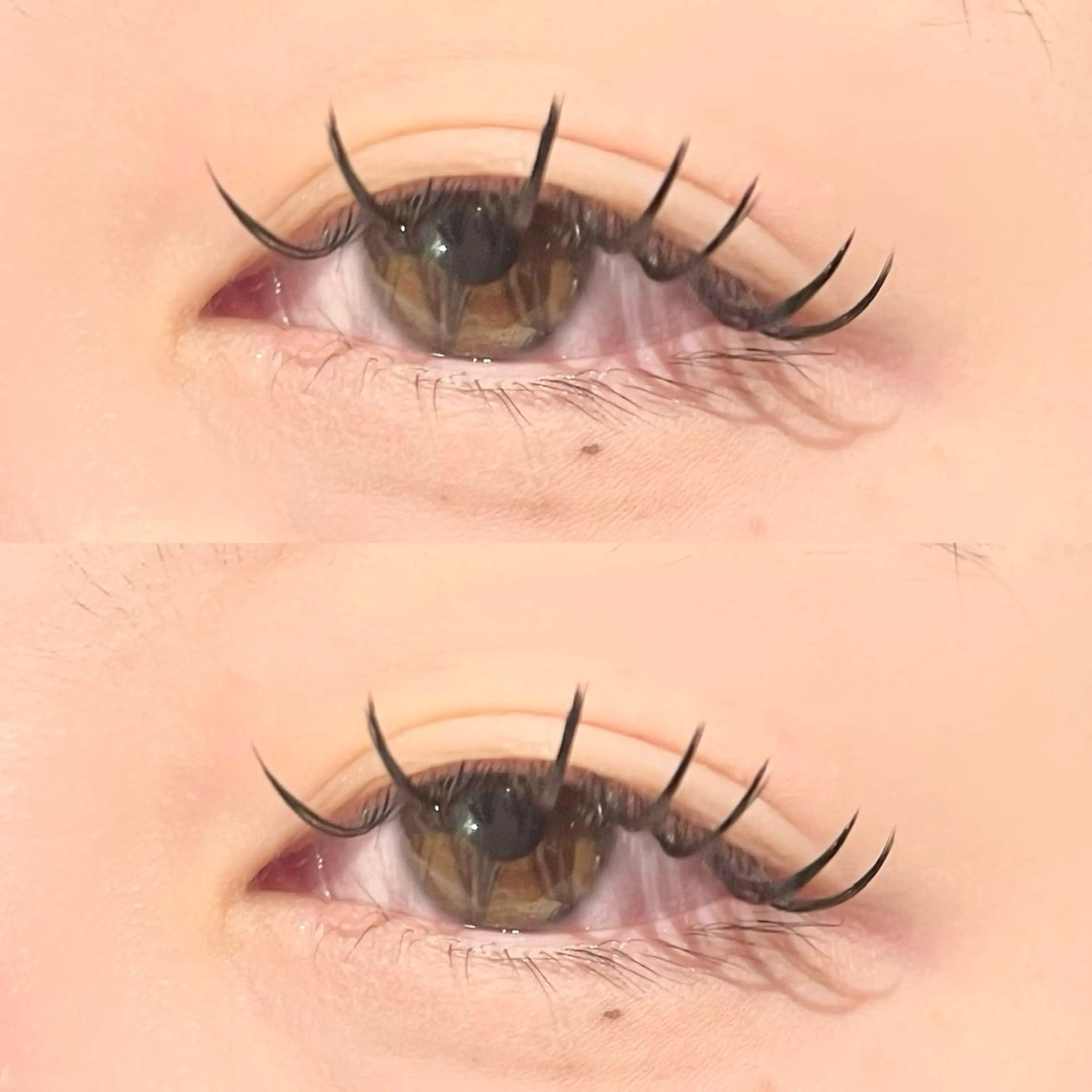 マツエク・マツパ マツエク hina🌷/re- born新鎌ヶ谷のマツエク・マツパデザイン