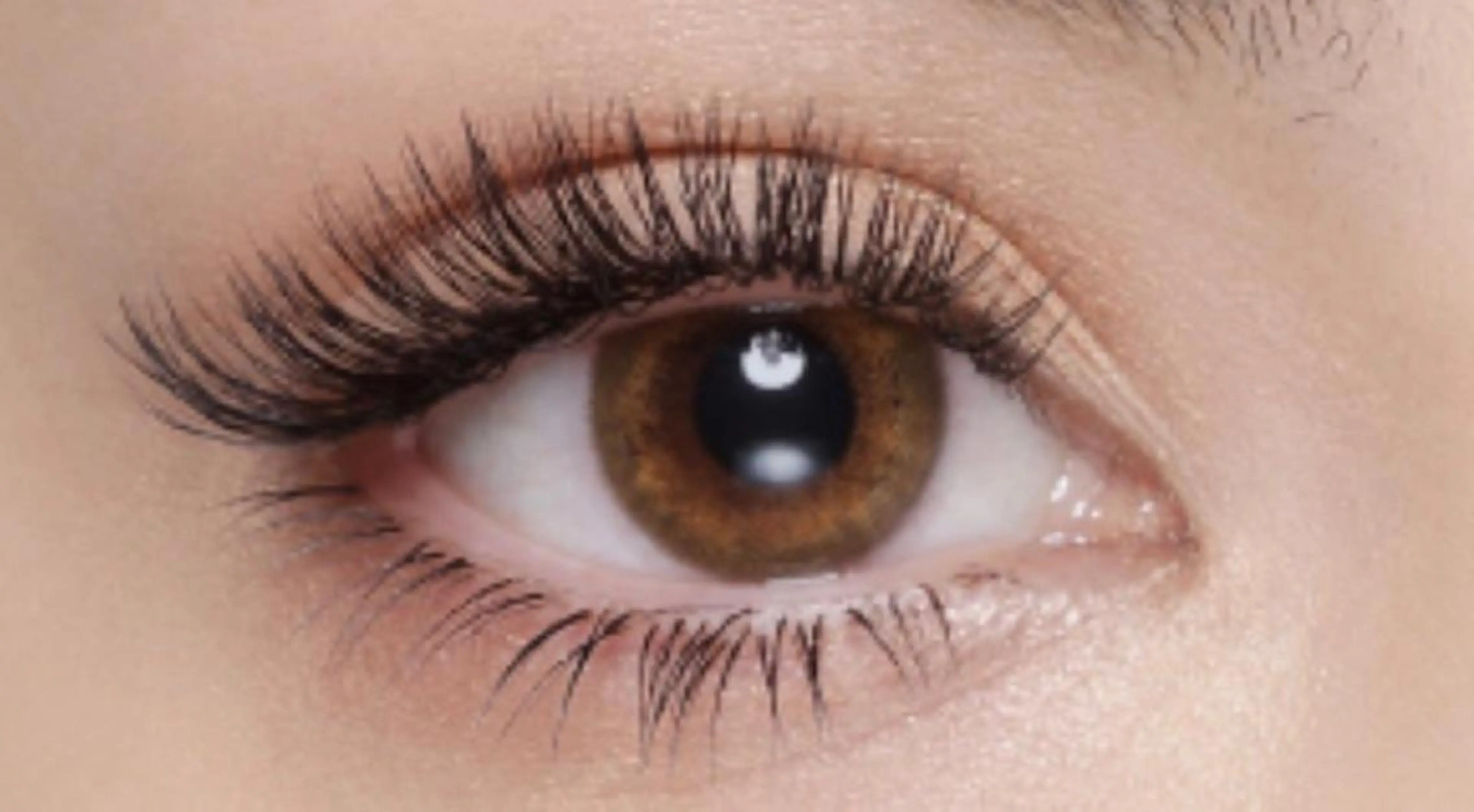 マツエク・マツパ マツエク Ele'na eye beautyのマツエク・マツパデザイン